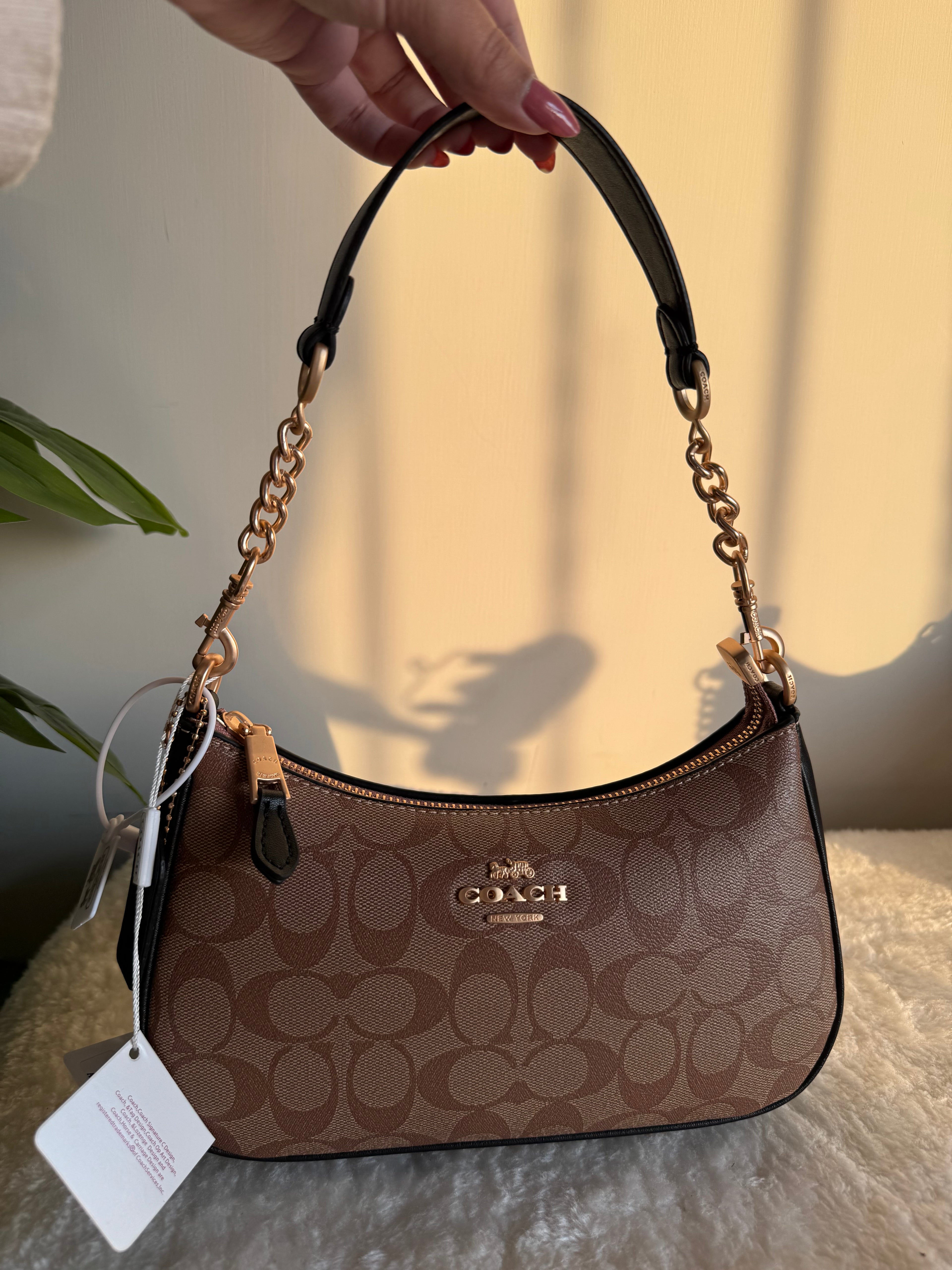 COACH TERI PREMIUM (Apricot Black) - BOX PACKING