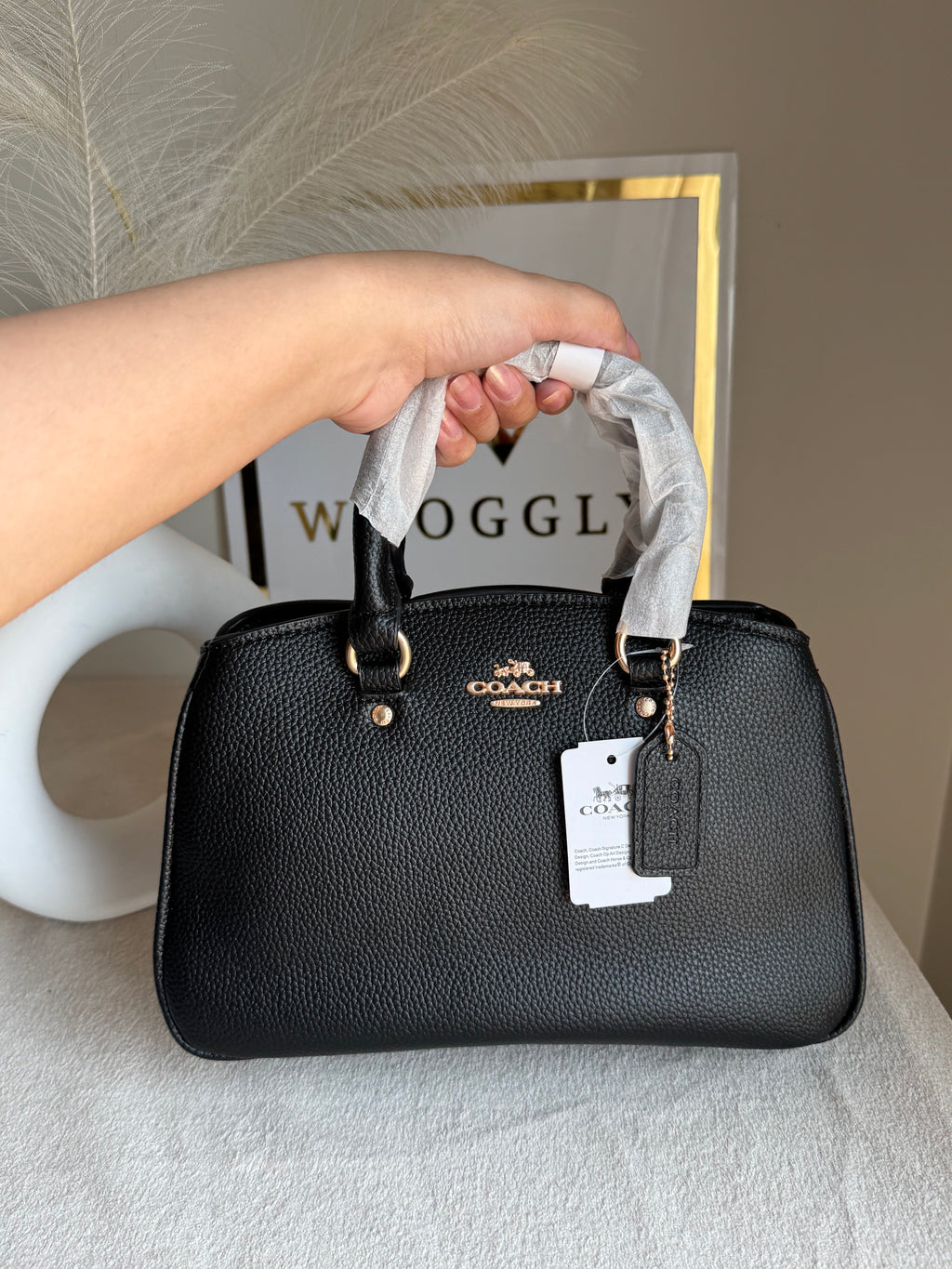 COACH PREMIUM Hand Bag (Black)