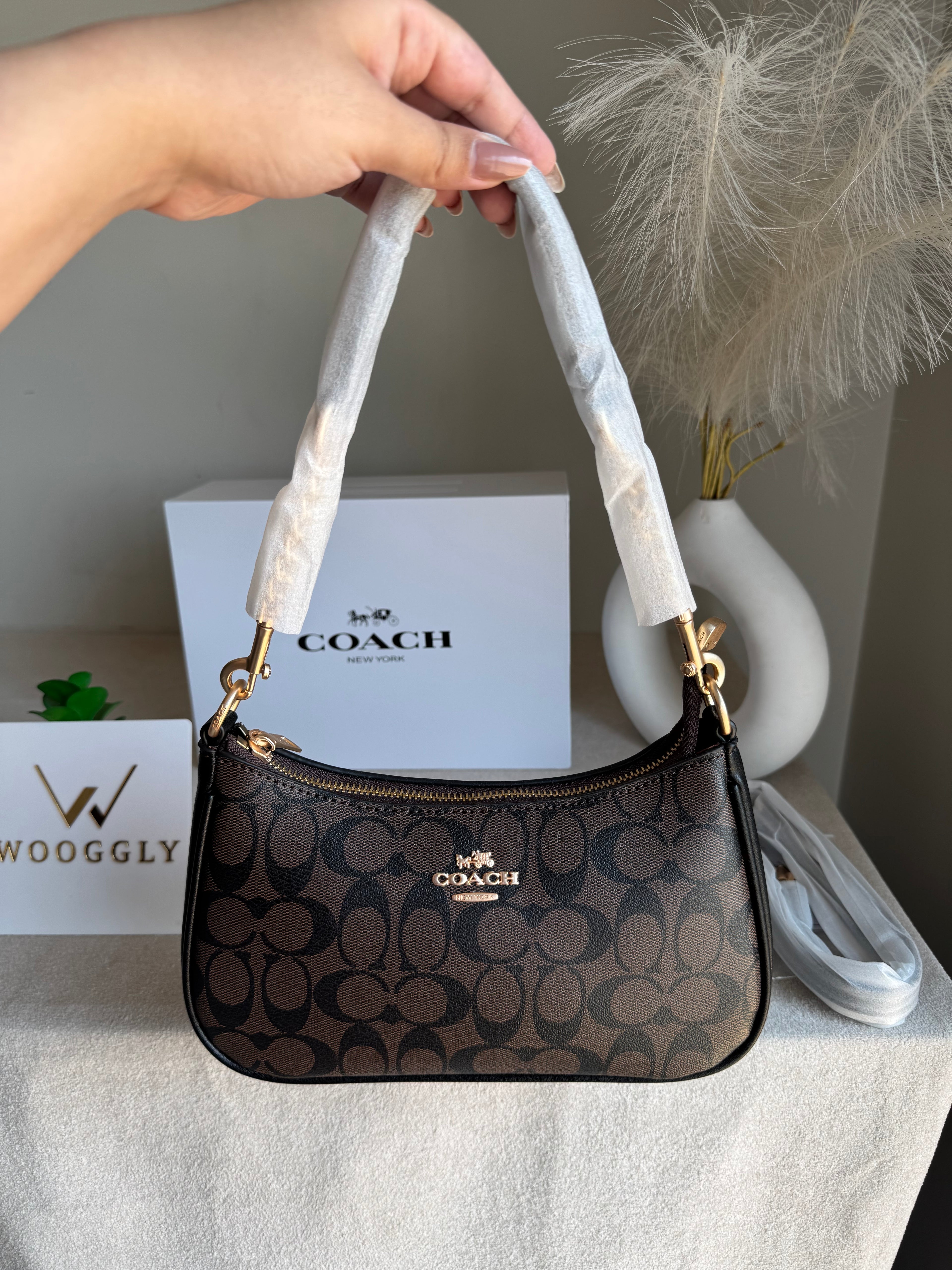 COACH TERI PREMIUM (Coffee) - BOX PACKING
