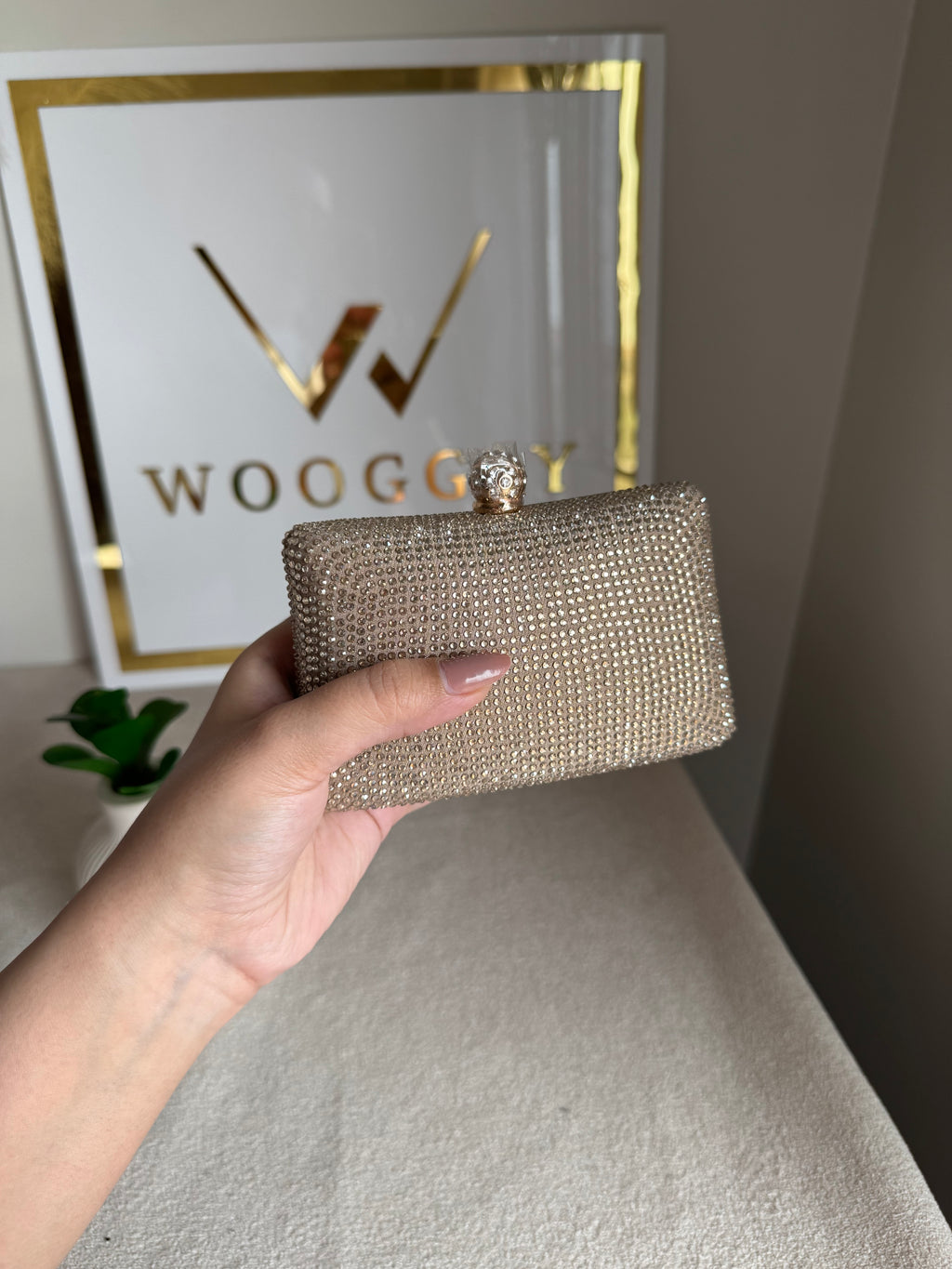 Icon Clutch Ivory
