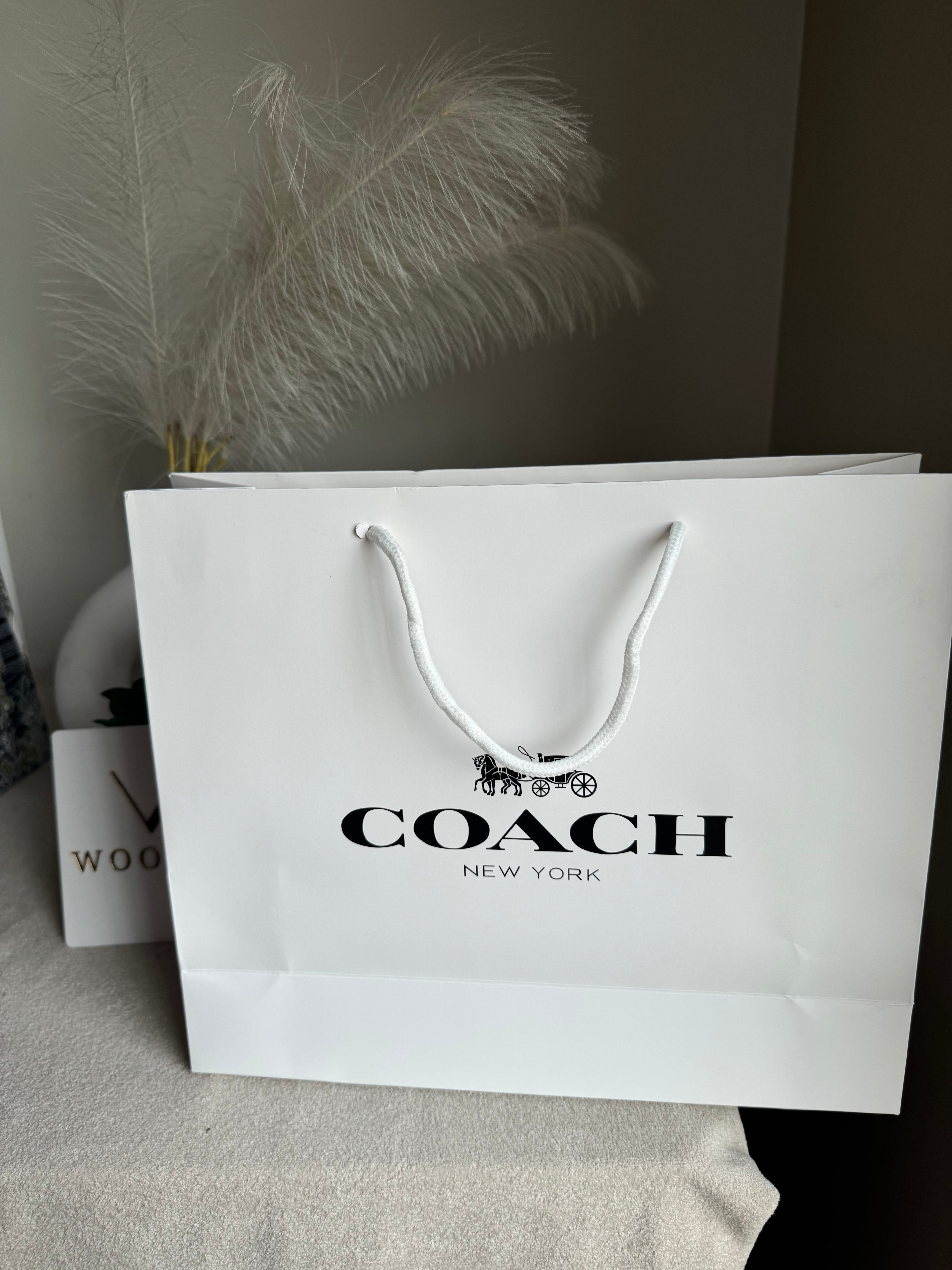 Gift Bag - Coach - Medium (ONLY FOR PICK UP OR INDRIVE CUSTOMERS IN LAHORE)