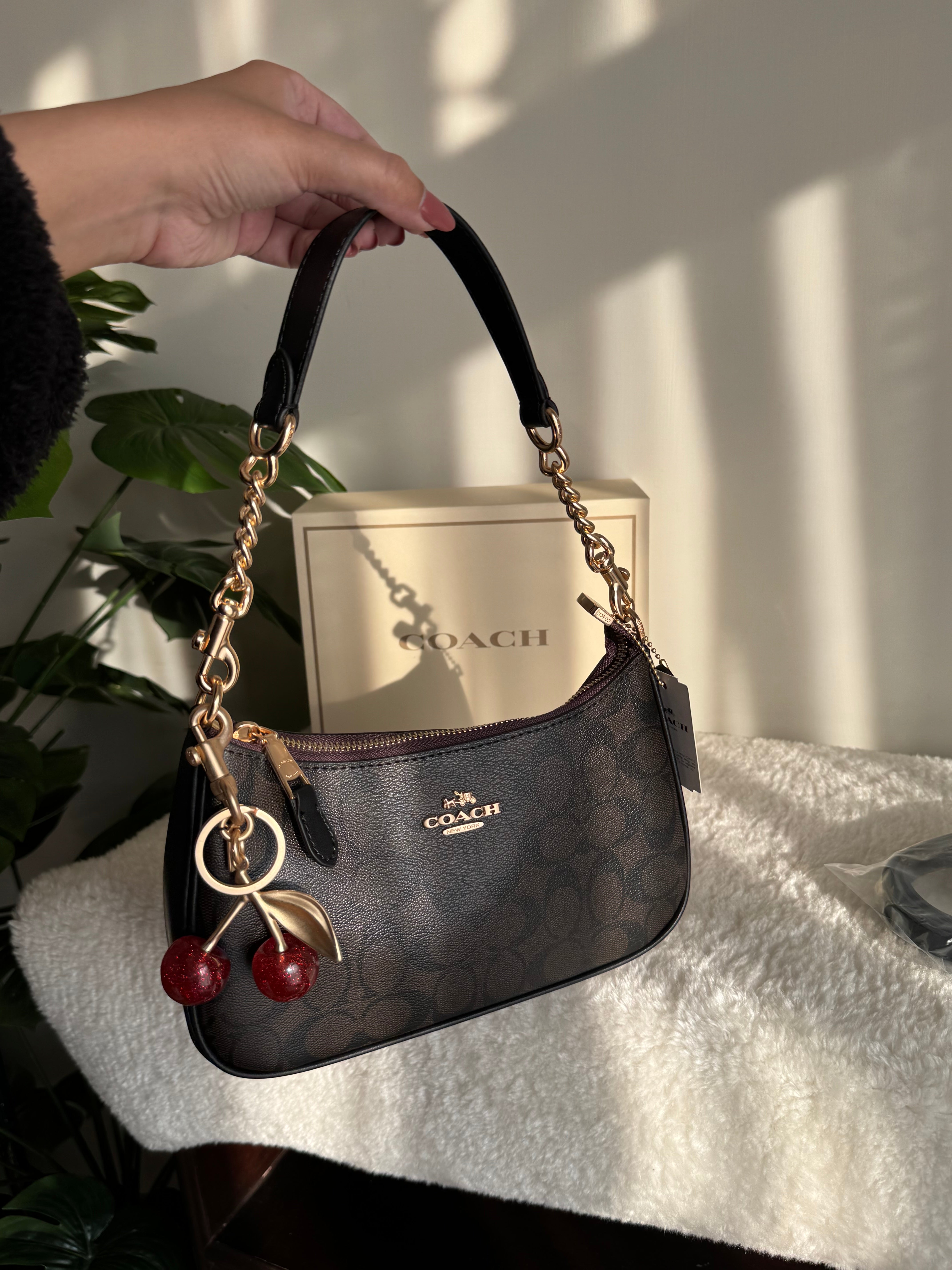 COACH TERI PREMIUM with Coach Cherry Charm (Brown) - BOX PACKING