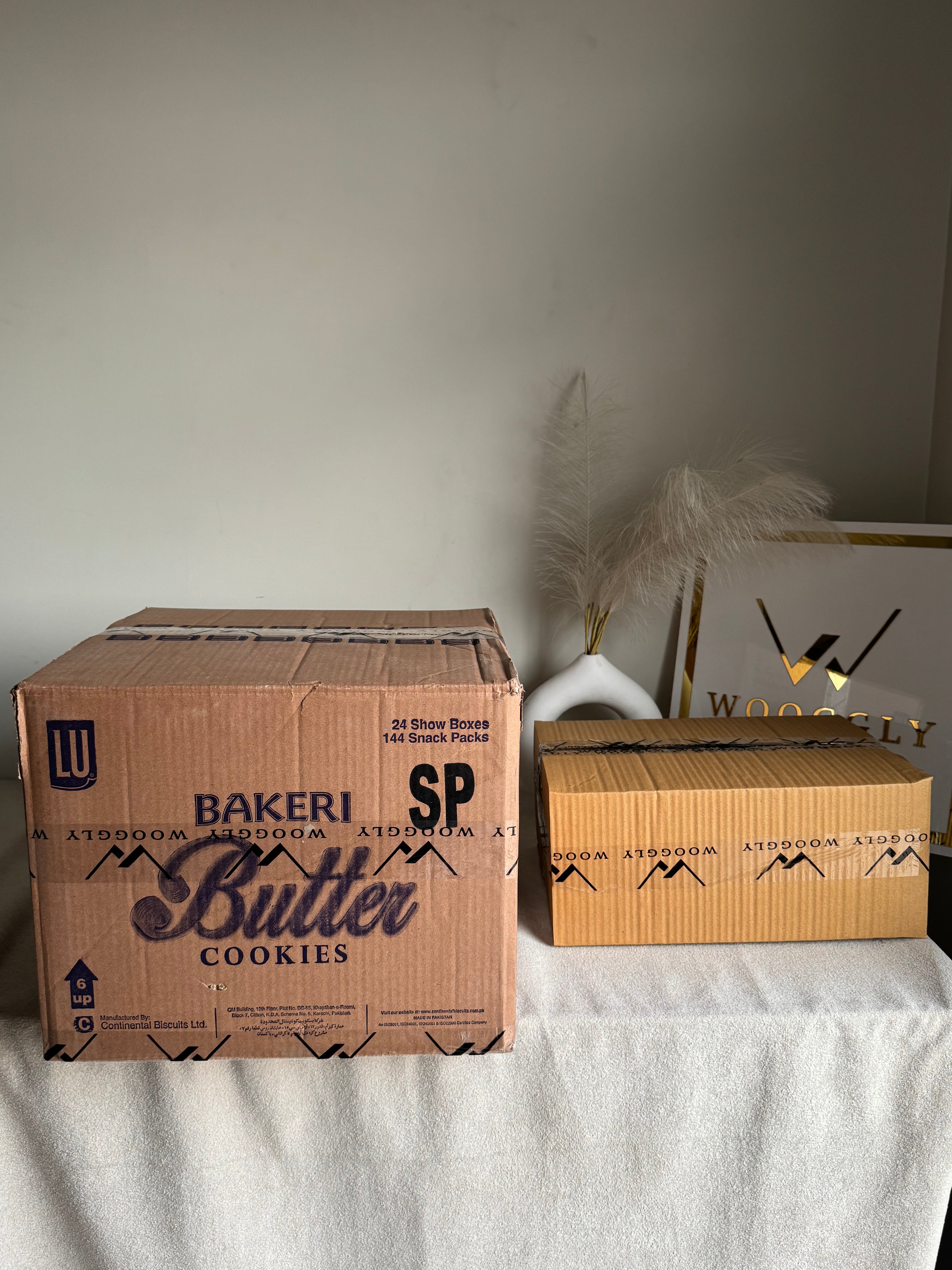 CARTON BOX PACKING for PAPER BAGS