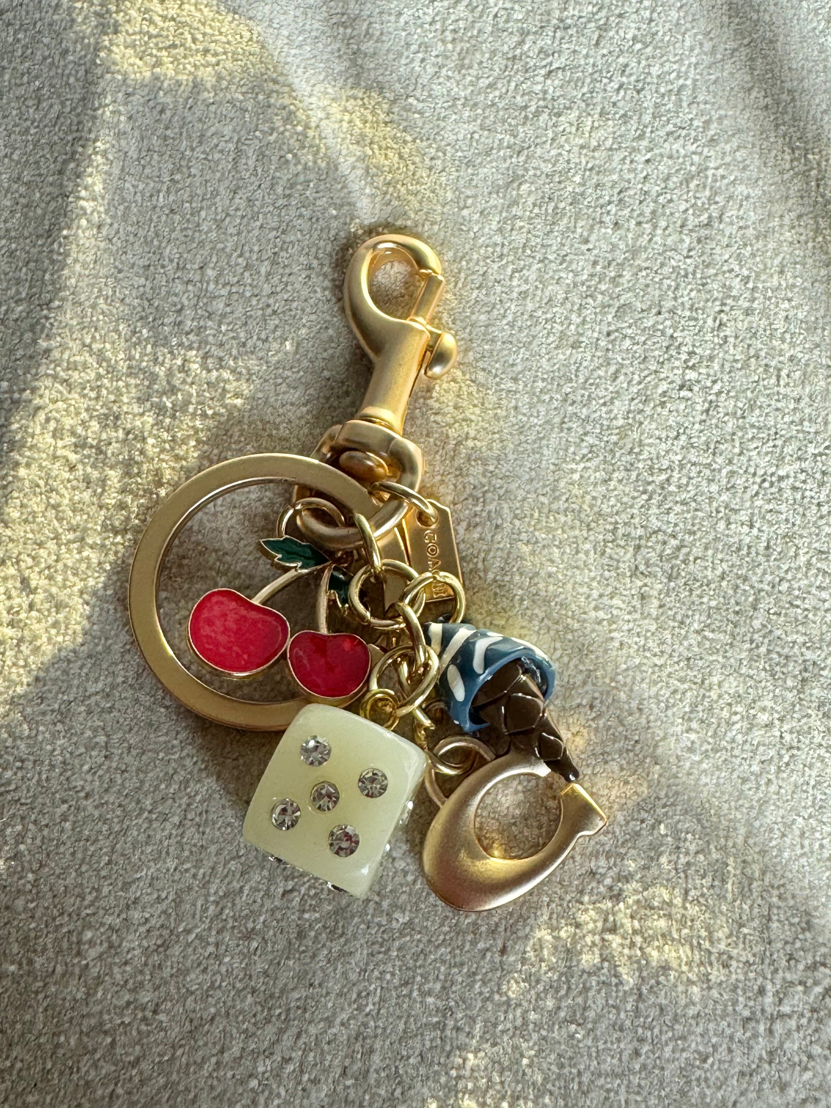 PREMIUM Coach Baddie Bag Charm