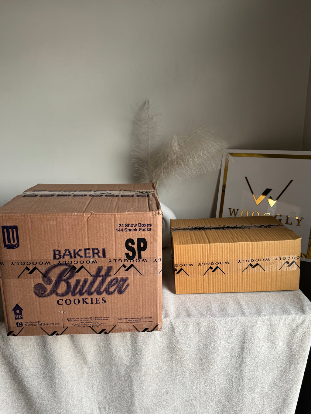 CARTON BOX PACKING for PAPER BAGS