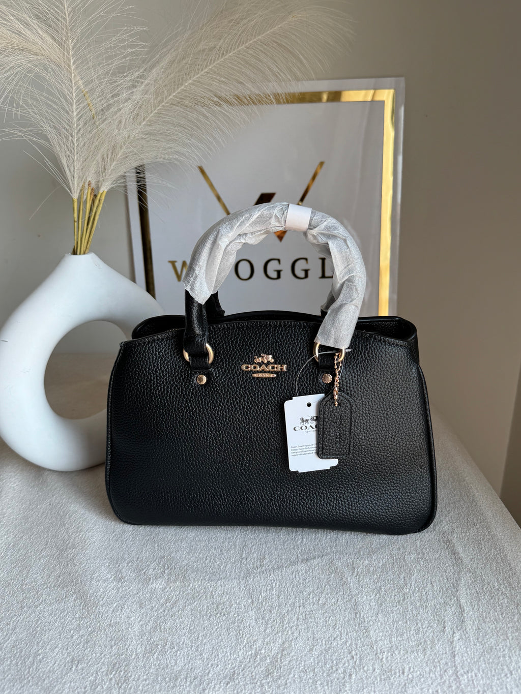 COACH PREMIUM Hand Bag (Black)