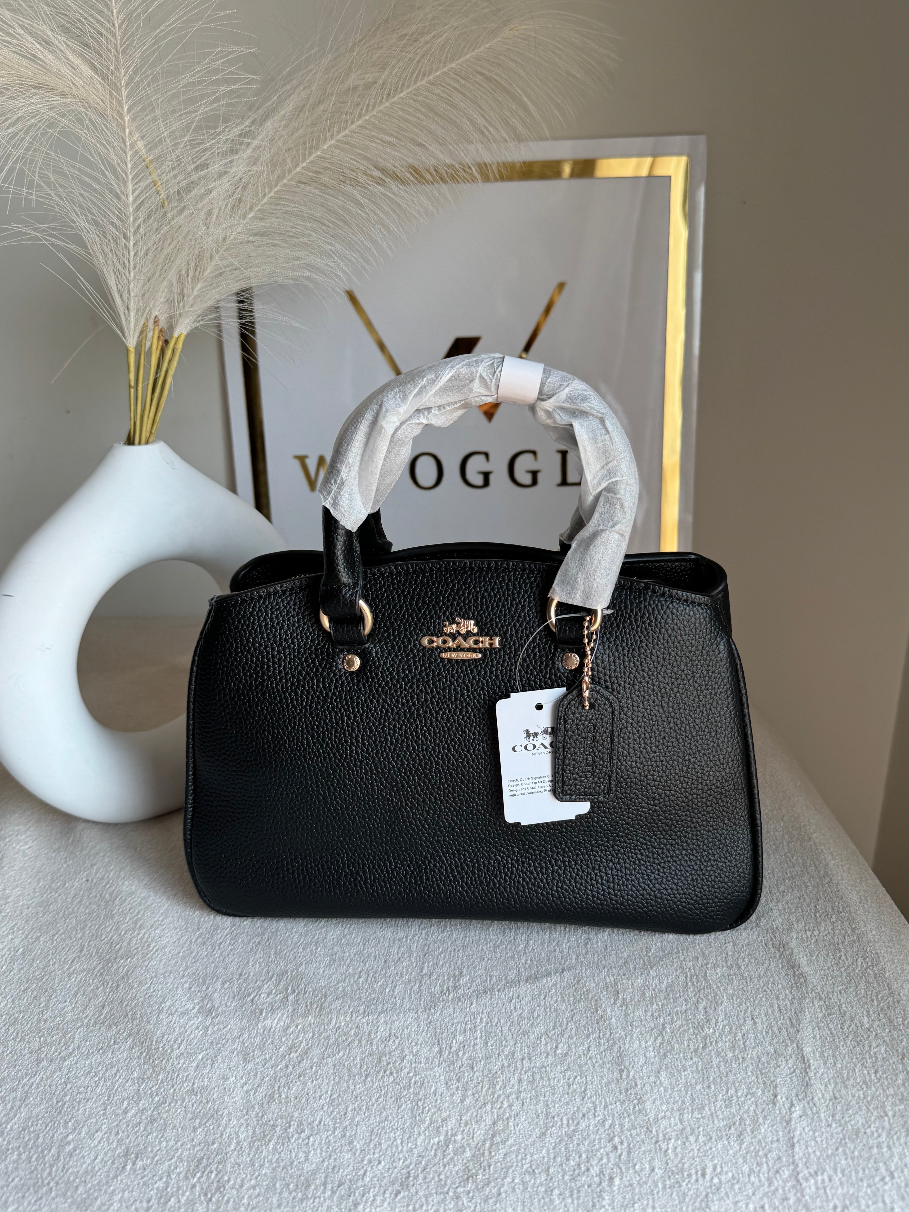 COACH PREMIUM Hand Bag (Black)
