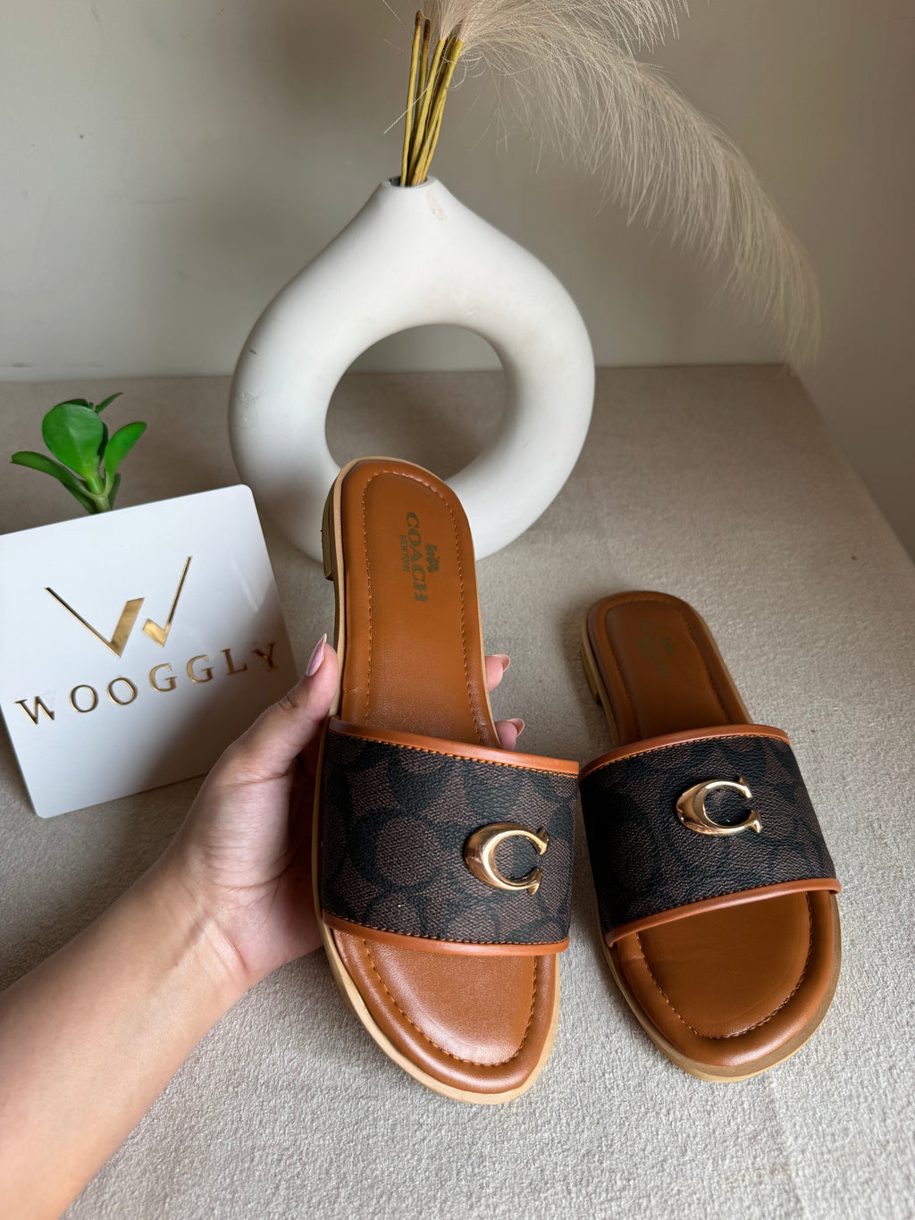 Viral Coach Slides Brown