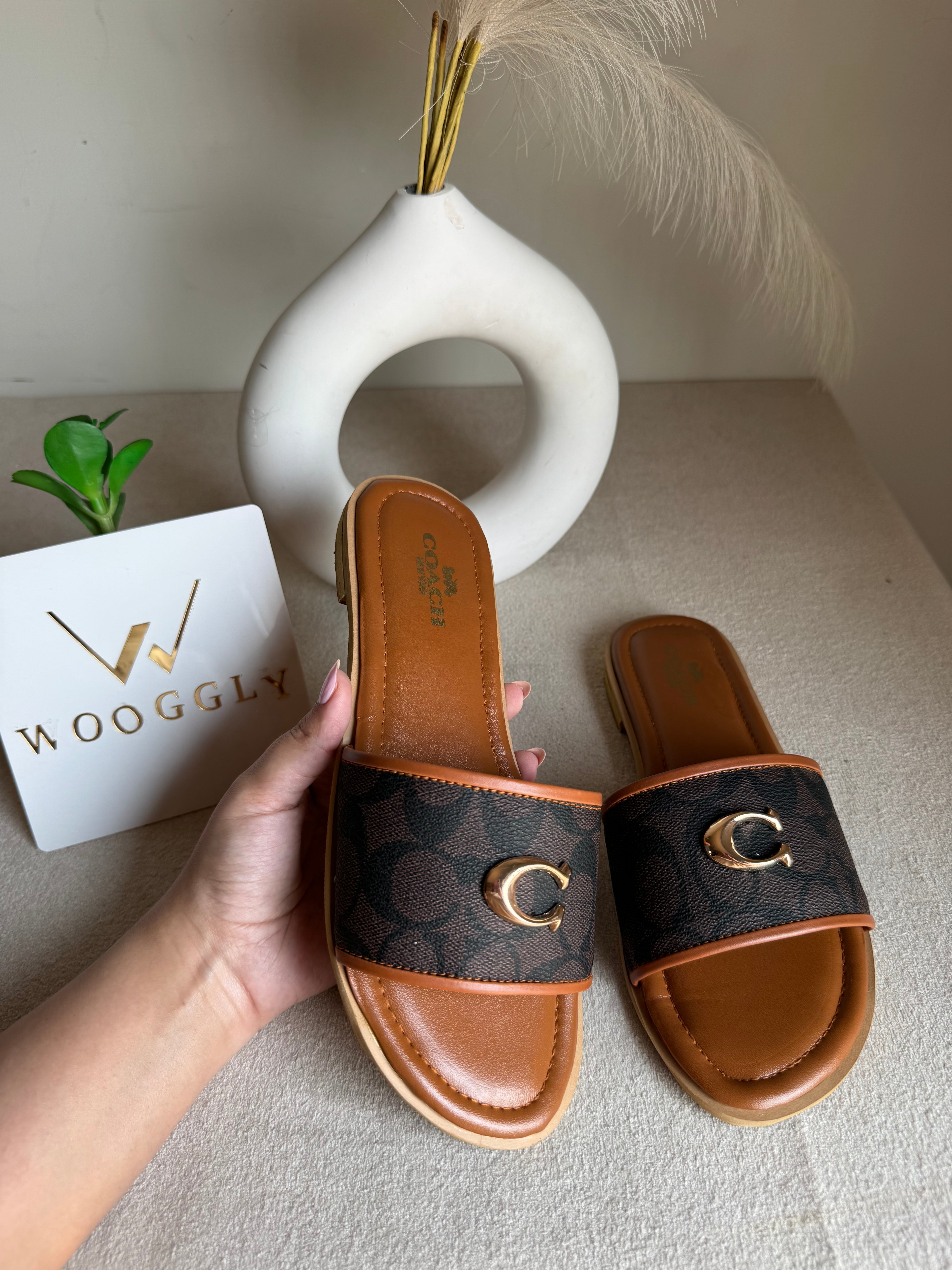 Viral Coach Slides Brown