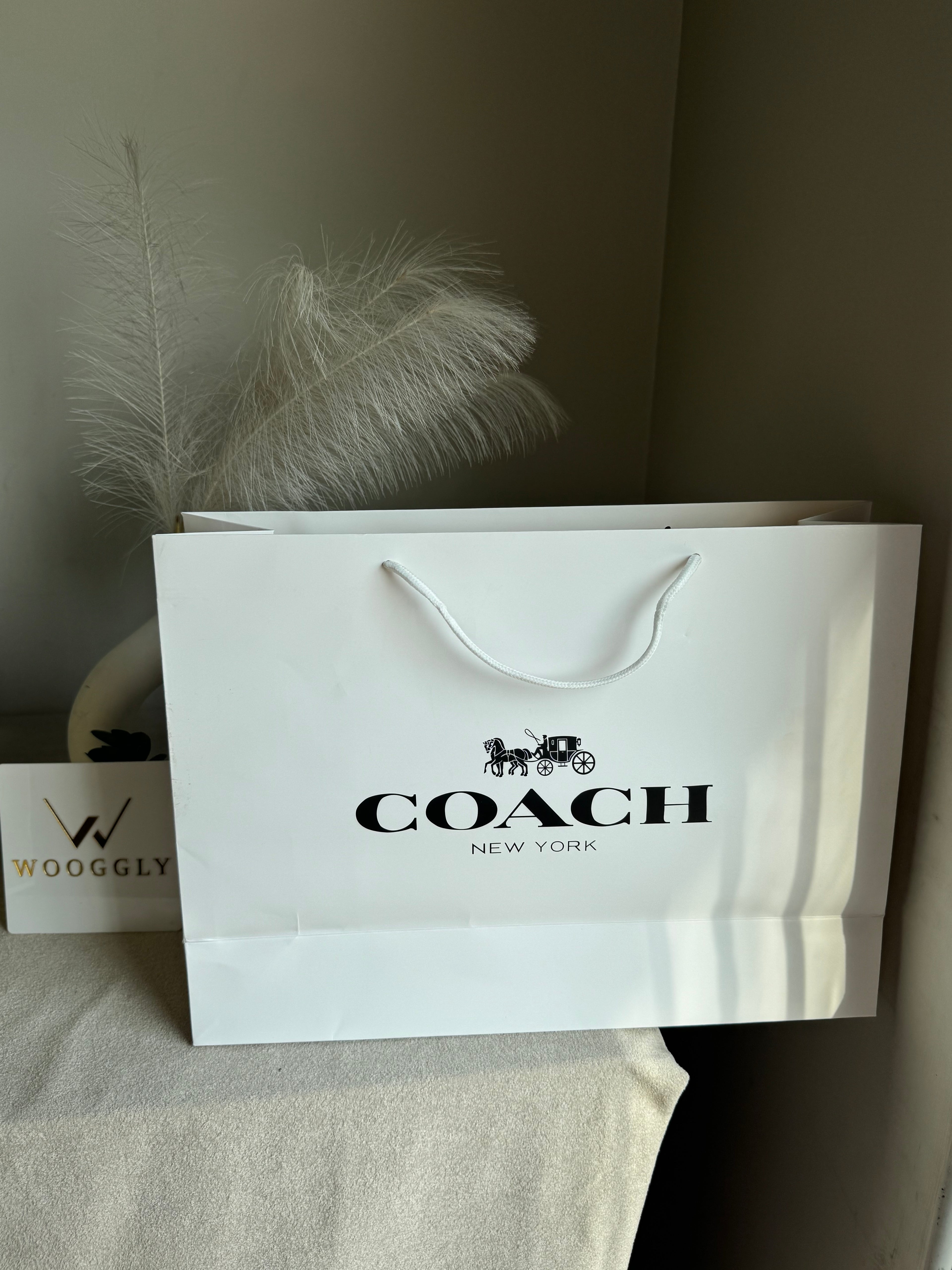 Gift Bag - Coach - Large (ONLY FOR PICK UP OR INDRIVE CUSTOMERS IN LAHORE)