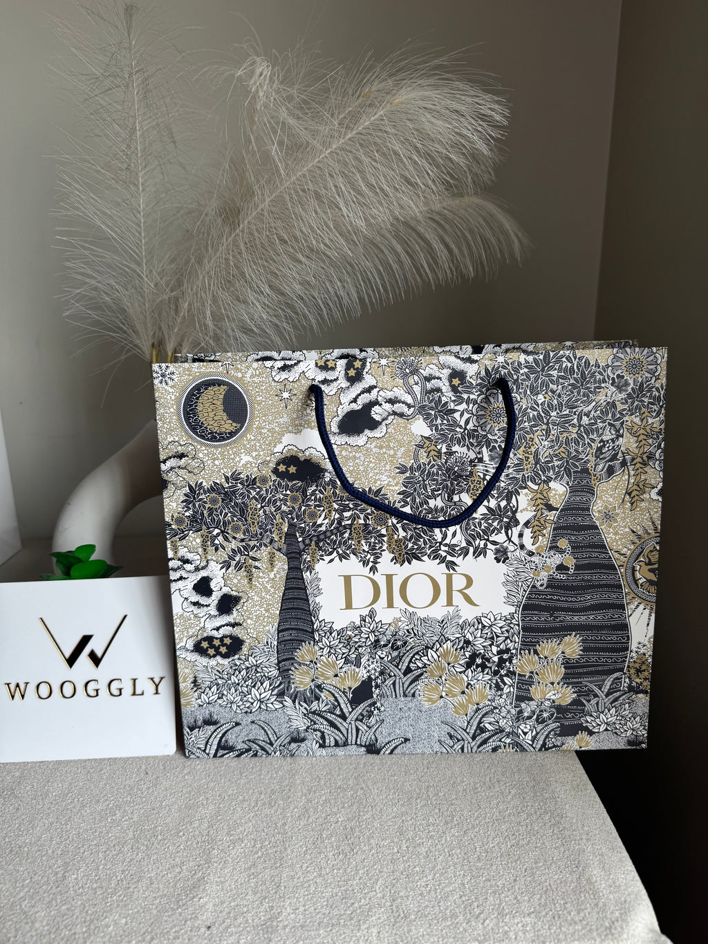 Gift Bag - Dior - Medium (ONLY FOR PICK UP OR INDRIVE CUSTOMERS IN LAHORE)