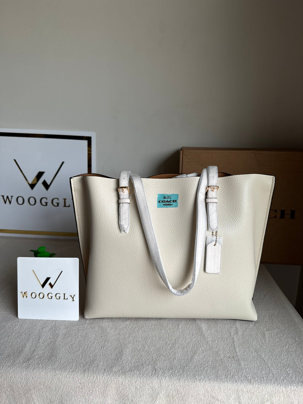 EXTREMELY PREMIUM COACH Mollie Tote Bag - Cream (BOX PACKING)