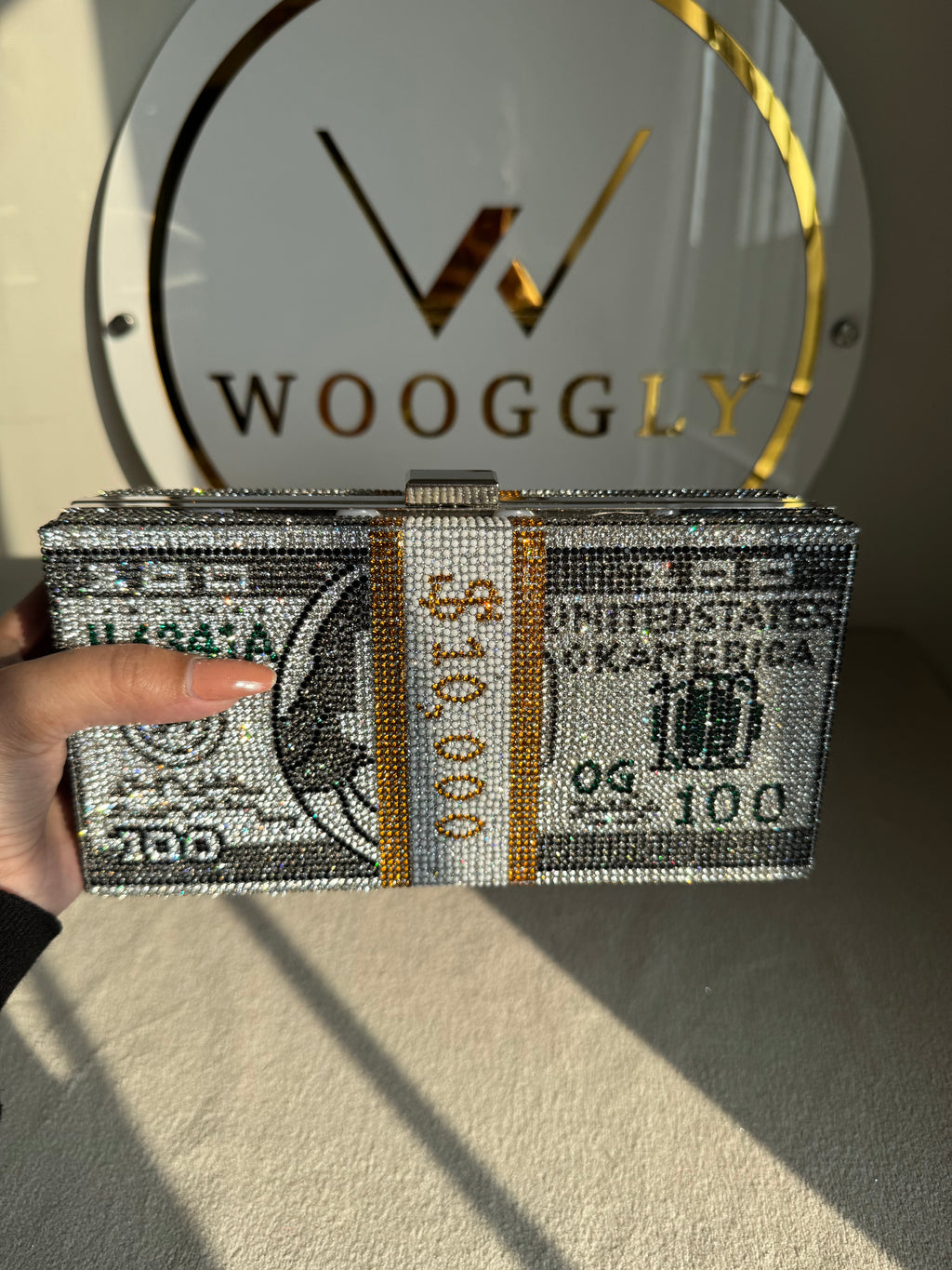 Premium Dollar Clutch - Silver with Chain