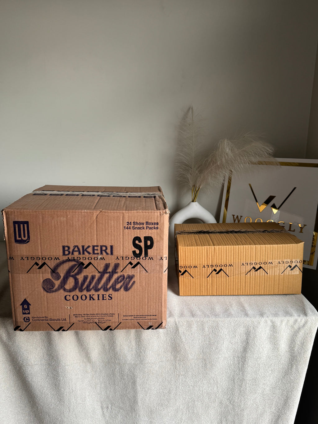 CARTON BOX PACKING for PAPER BAGS