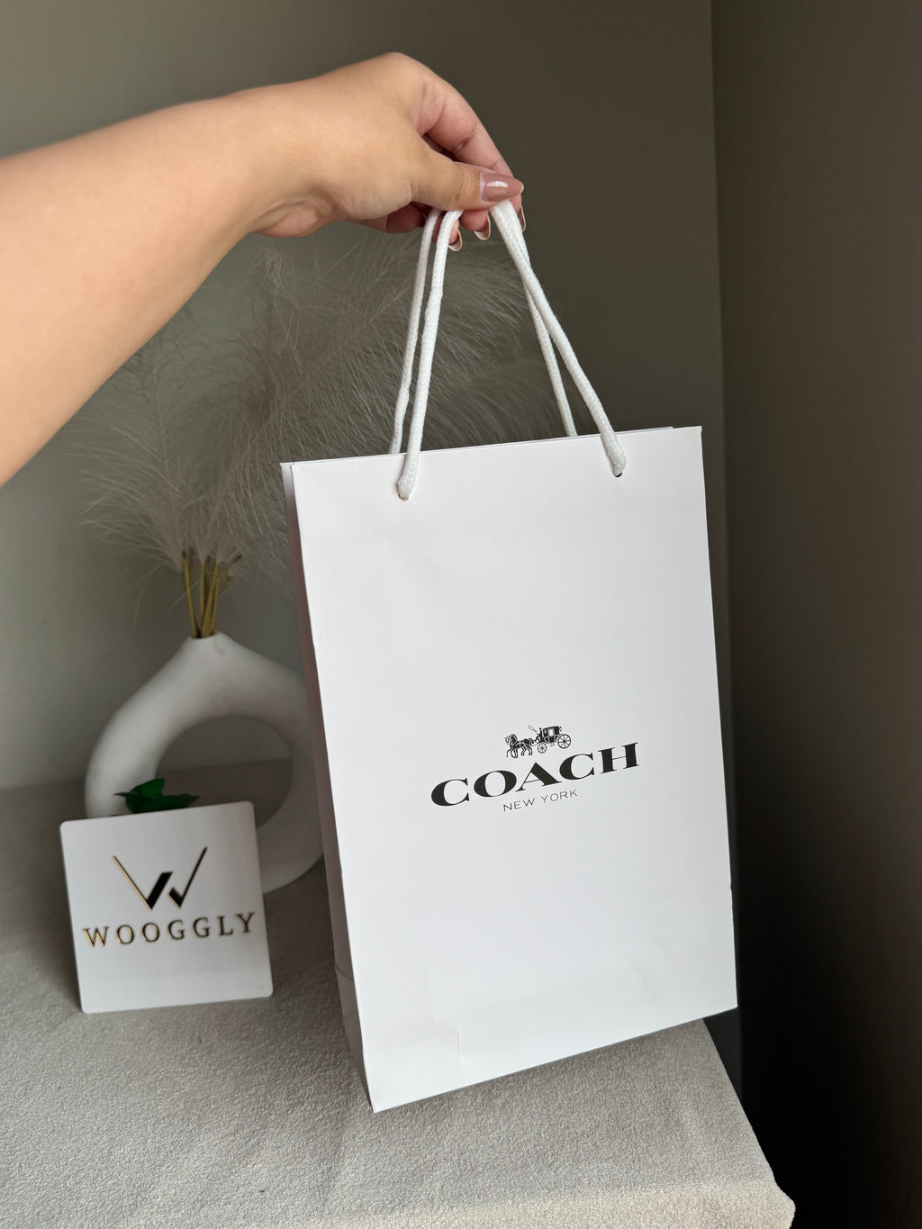 Gift Bag - Coach - Small (ONLY FOR PICK UP OR INDRIVE CUSTOMERS IN LAHORE)