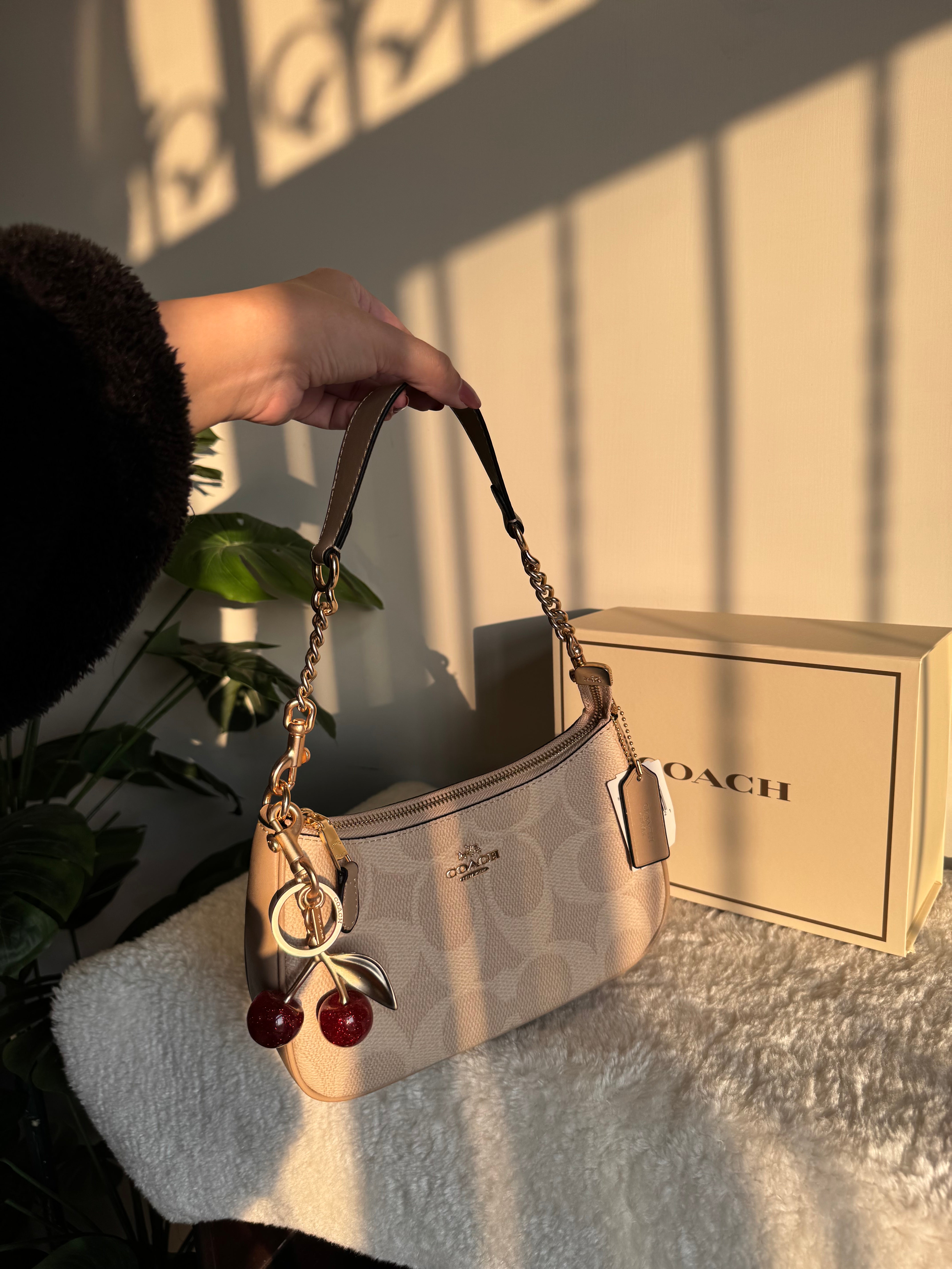 COACH TERI PREMIUM with Coach Cherry Charm (Beige) - BOX PACKING