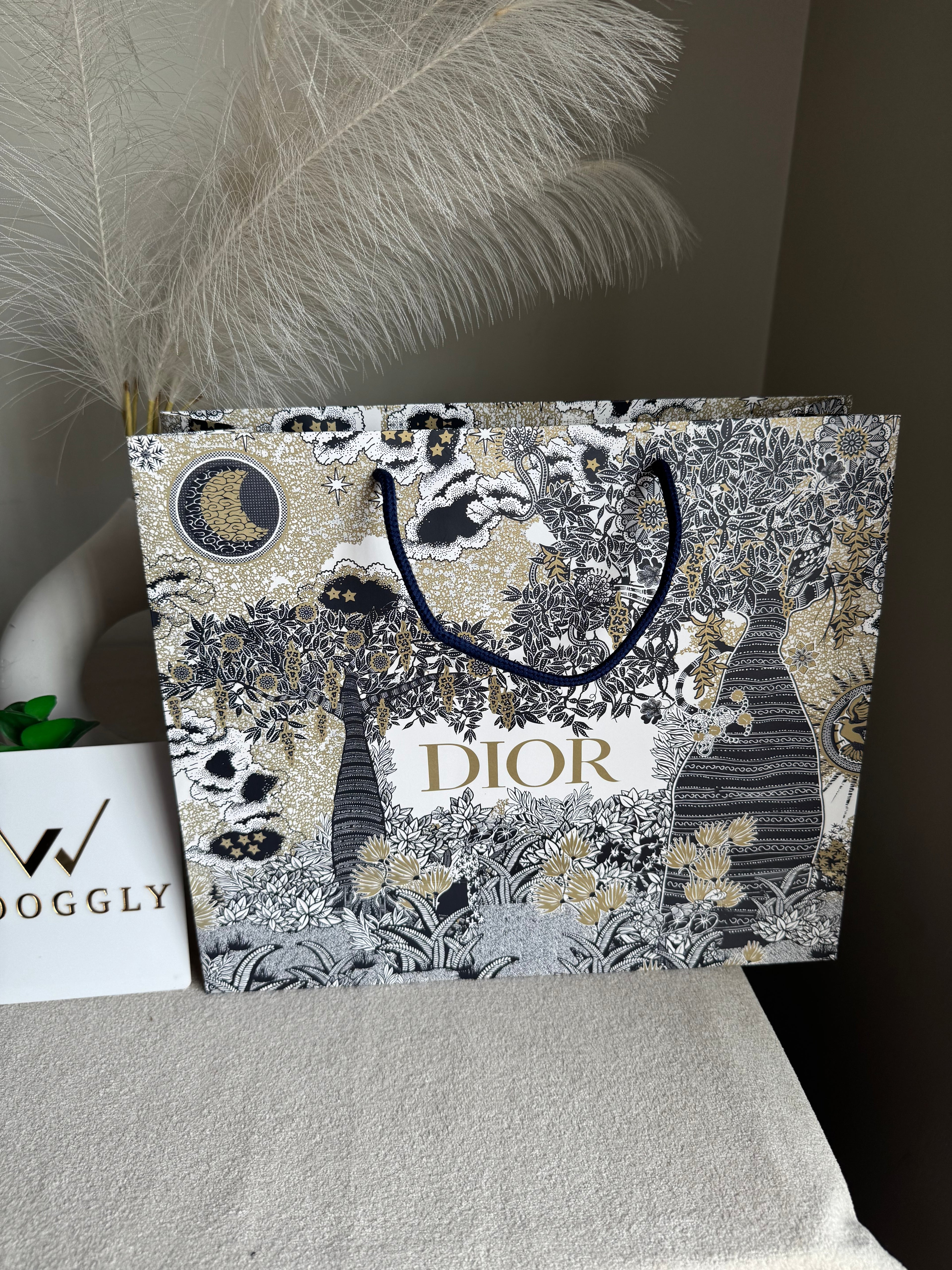 Gift Bag - Dior - Medium (ONLY FOR PICK UP OR INDRIVE CUSTOMERS IN LAHORE)