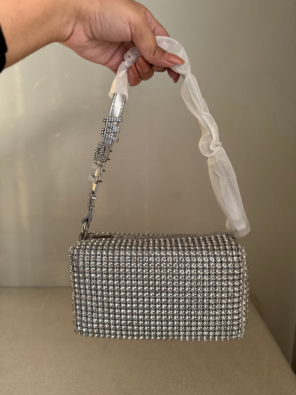 Alexander Wang Rhinestone Evening Clutch (Silver)