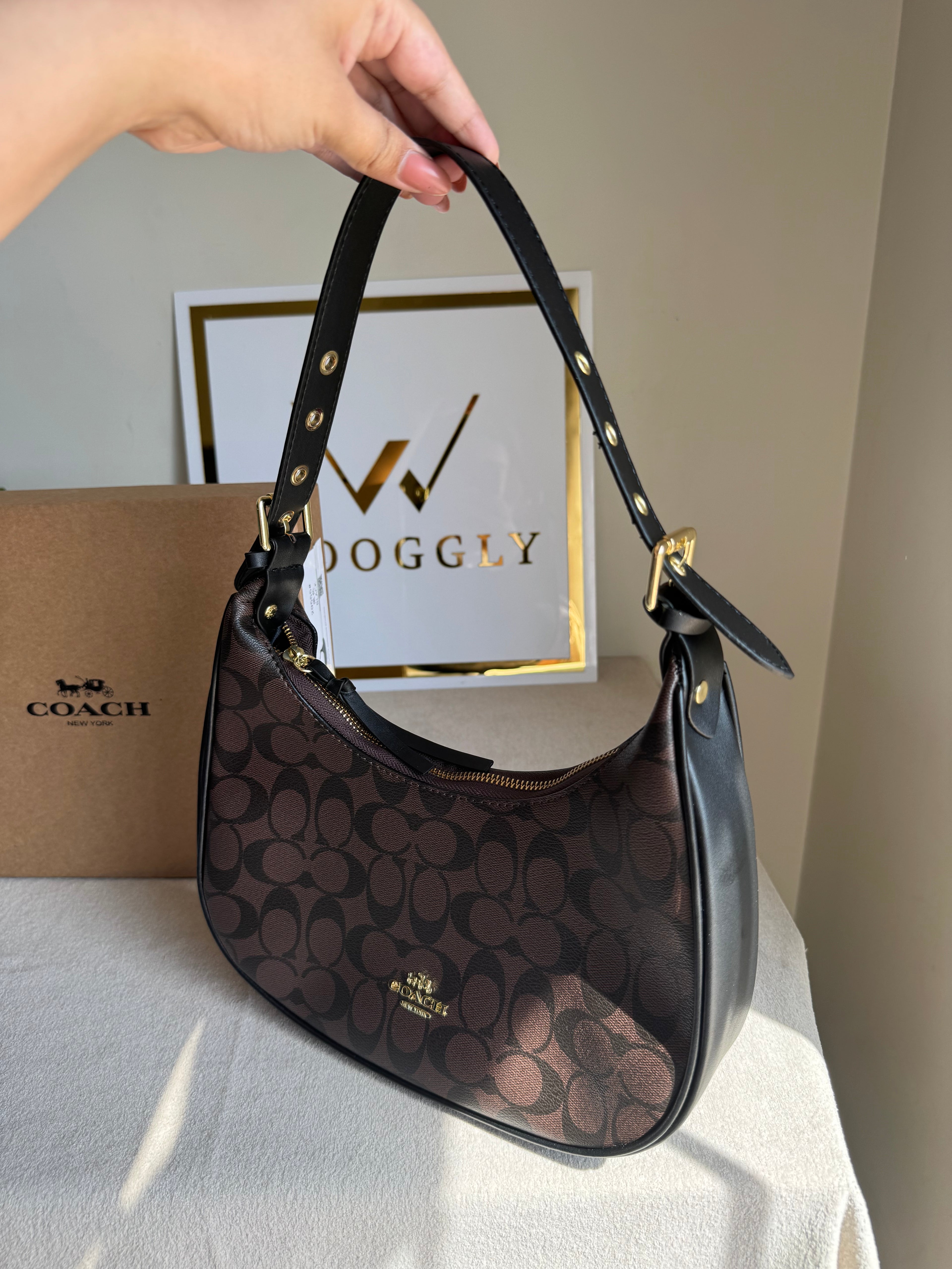 Coach Hobo Bag - Signature Brown (BOX PACKING)