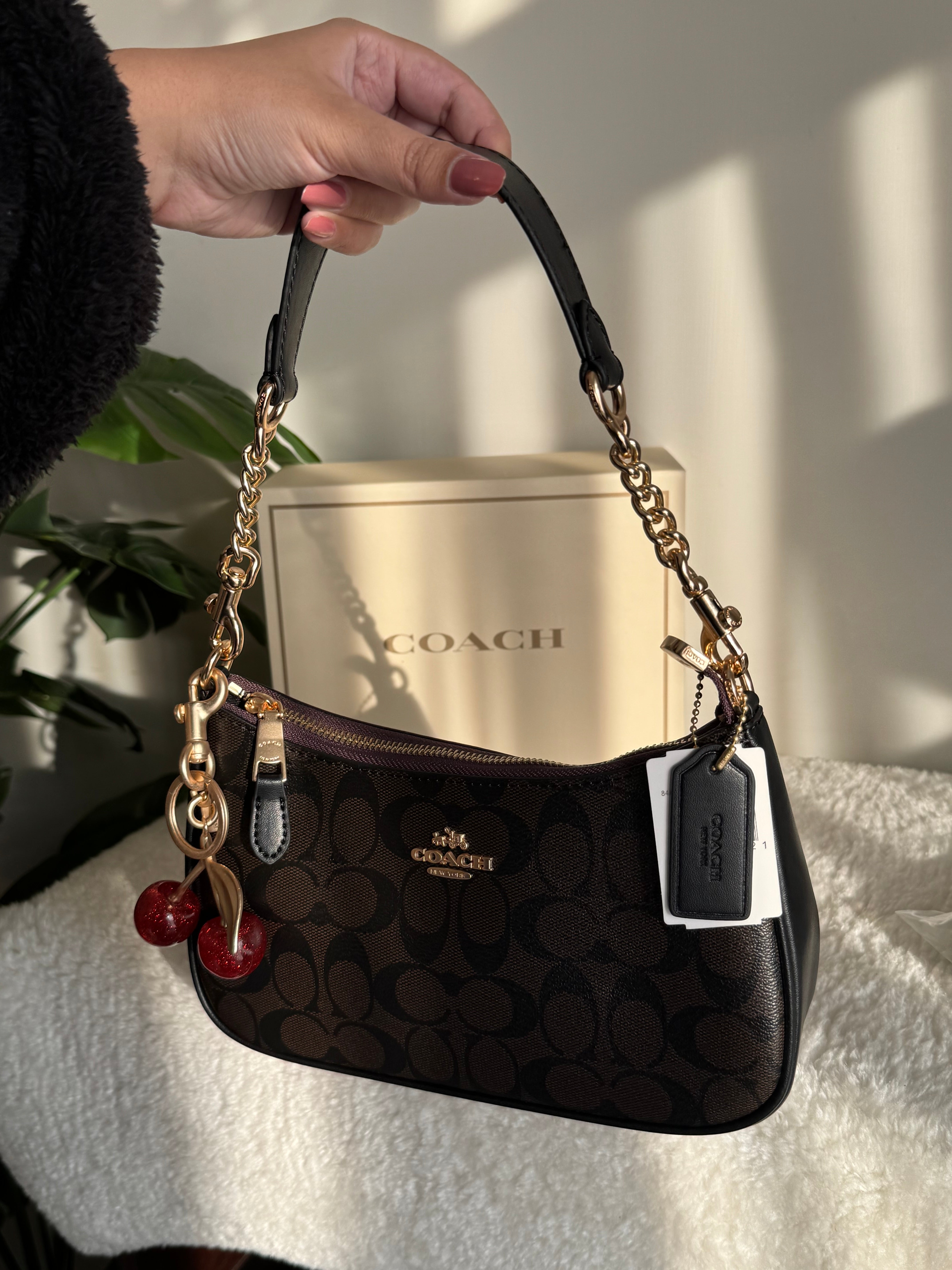 COACH TERI PREMIUM with Coach Cherry Charm (Brown) - BOX PACKING