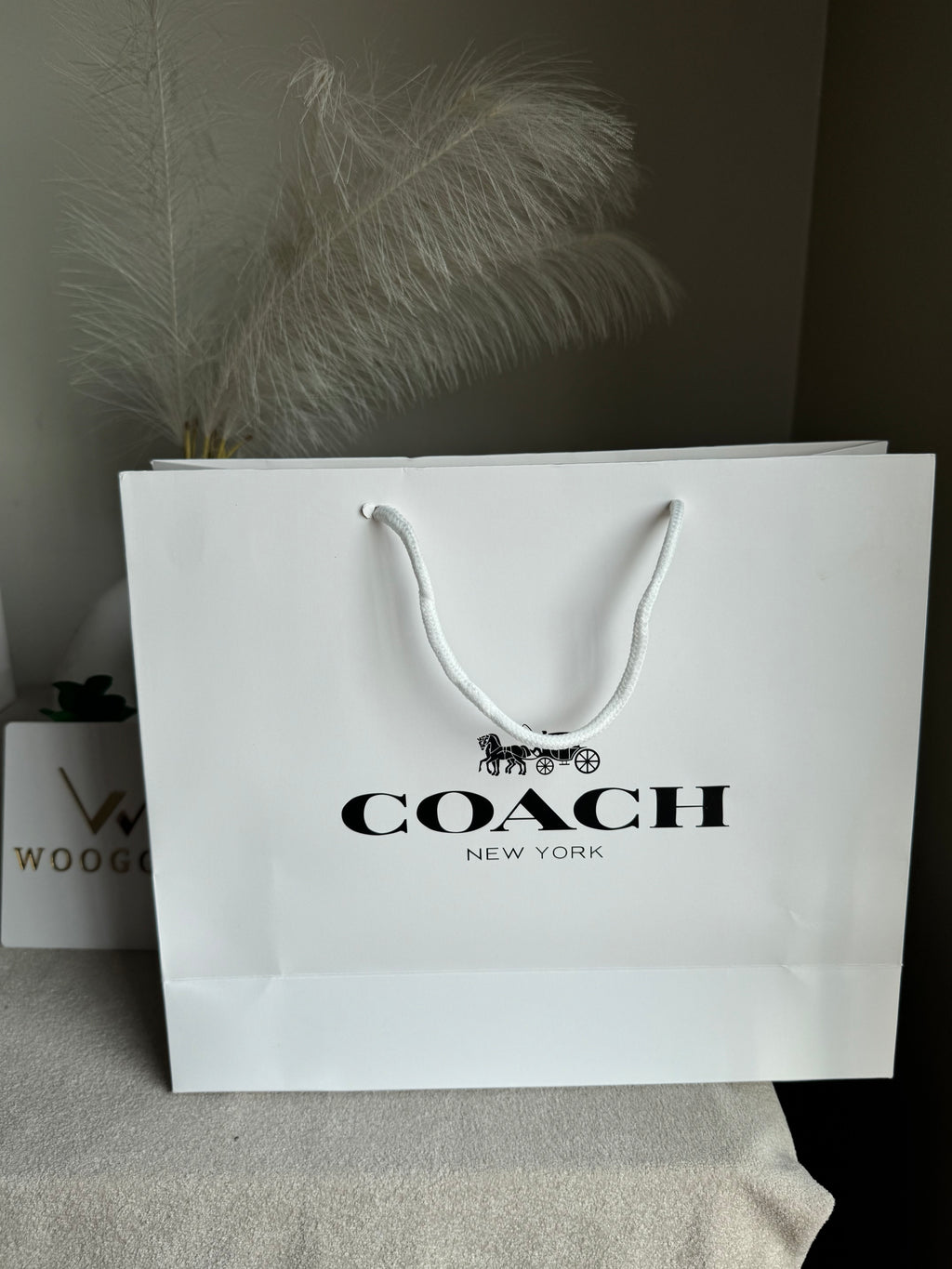 Gift Bag - Coach - Medium (ONLY FOR PICK UP OR INDRIVE CUSTOMERS IN LAHORE)