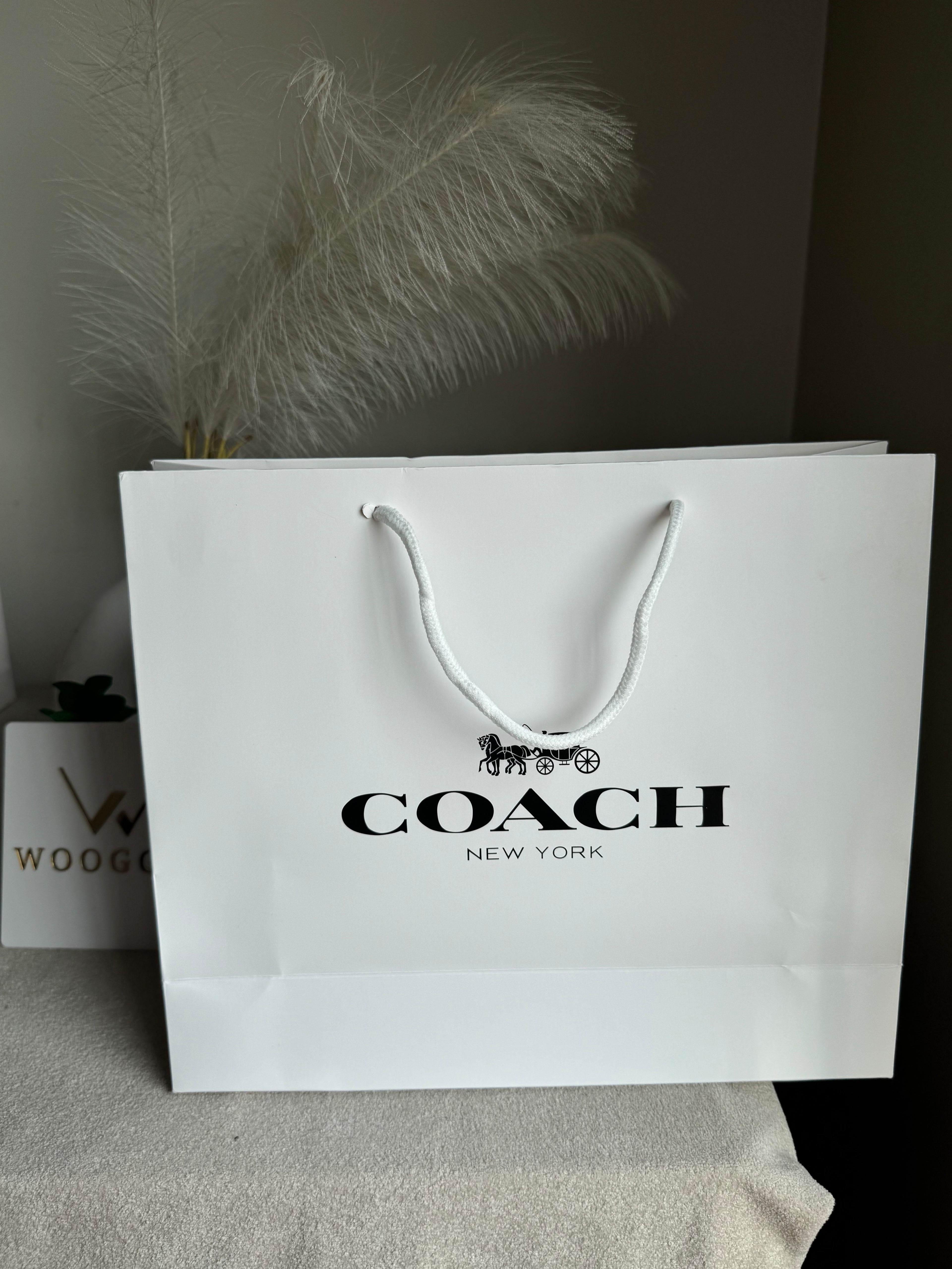 Gift Bag - Coach - Medium (ONLY FOR PICK UP OR INDRIVE CUSTOMERS IN LAHORE)