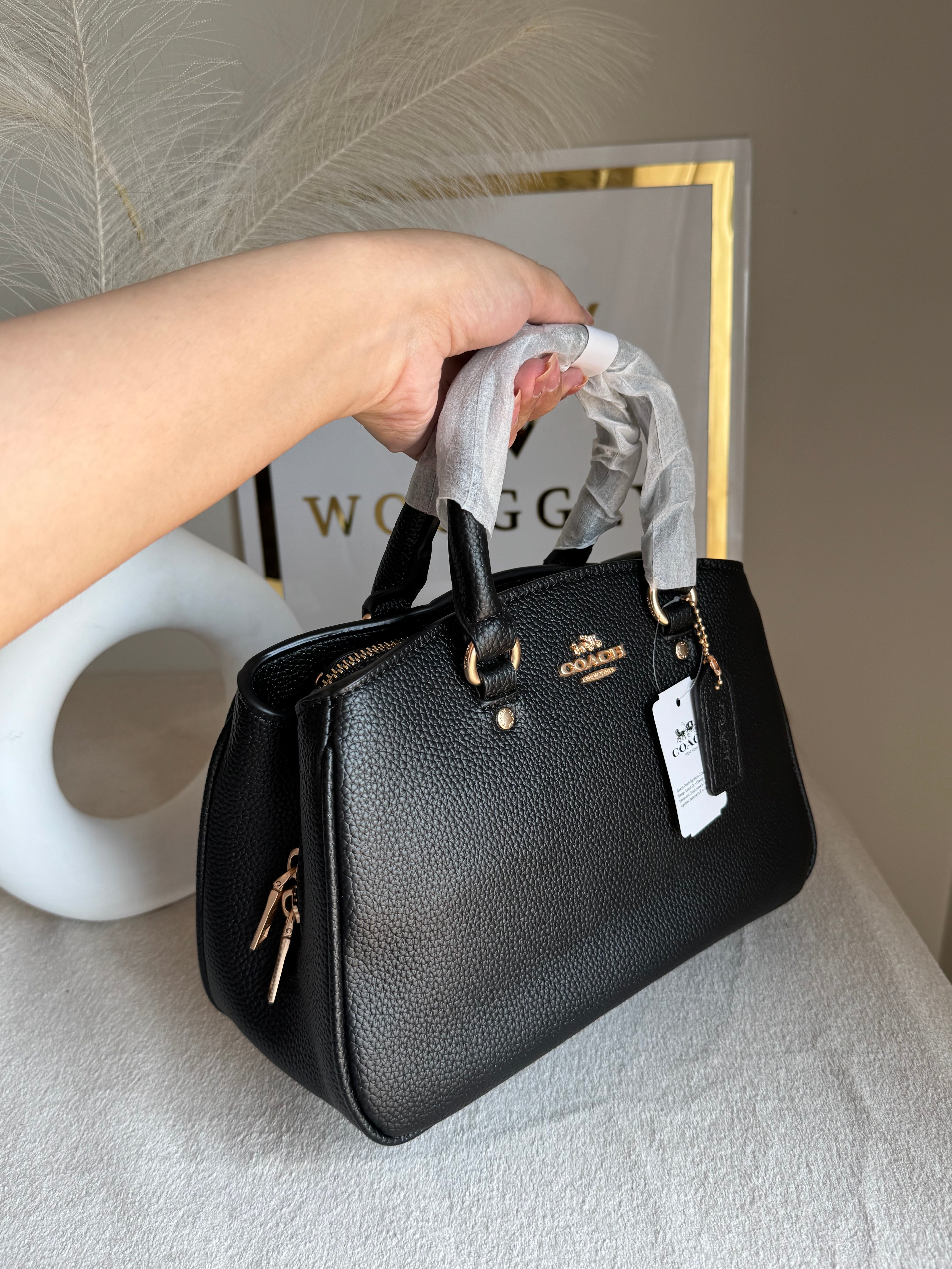 COACH PREMIUM Hand Bag (Black)