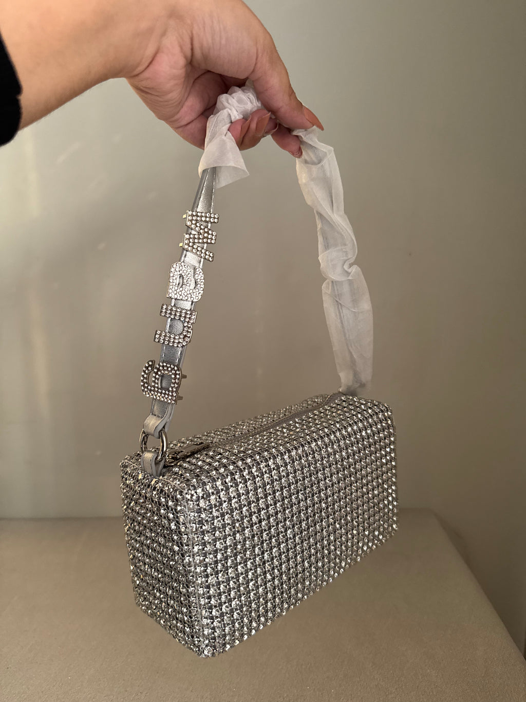 Alexander Wang Rhinestone Evening Clutch (Silver)