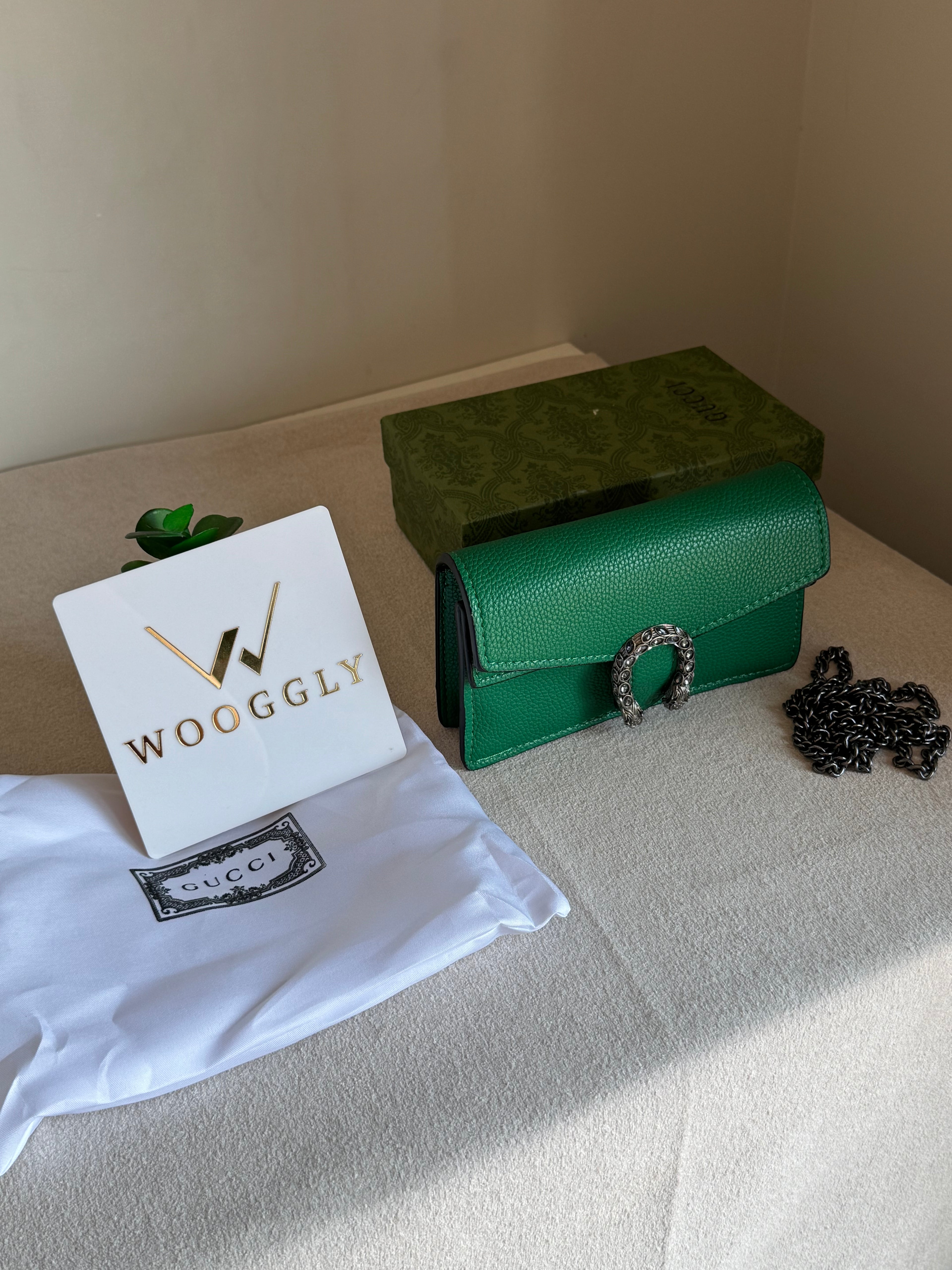 Viral Mini Gucci Bag Green - Box Packing