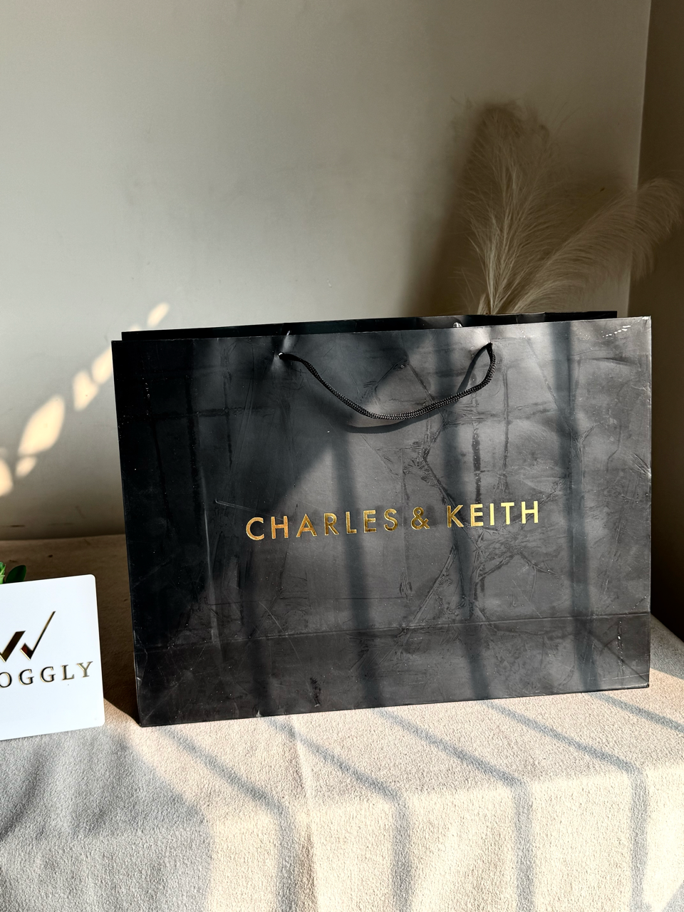 Gift Bag - Charles & Keith - Large (MUST ADD ON BOX/CARTON PACKING)