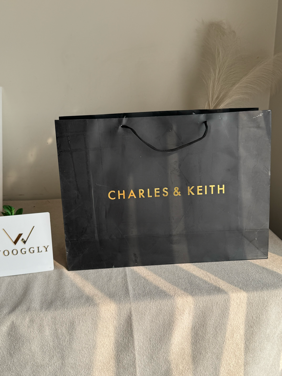 Gift Bag - Charles & Keith - Large (MUST ADD ON BOX/CARTON PACKING)