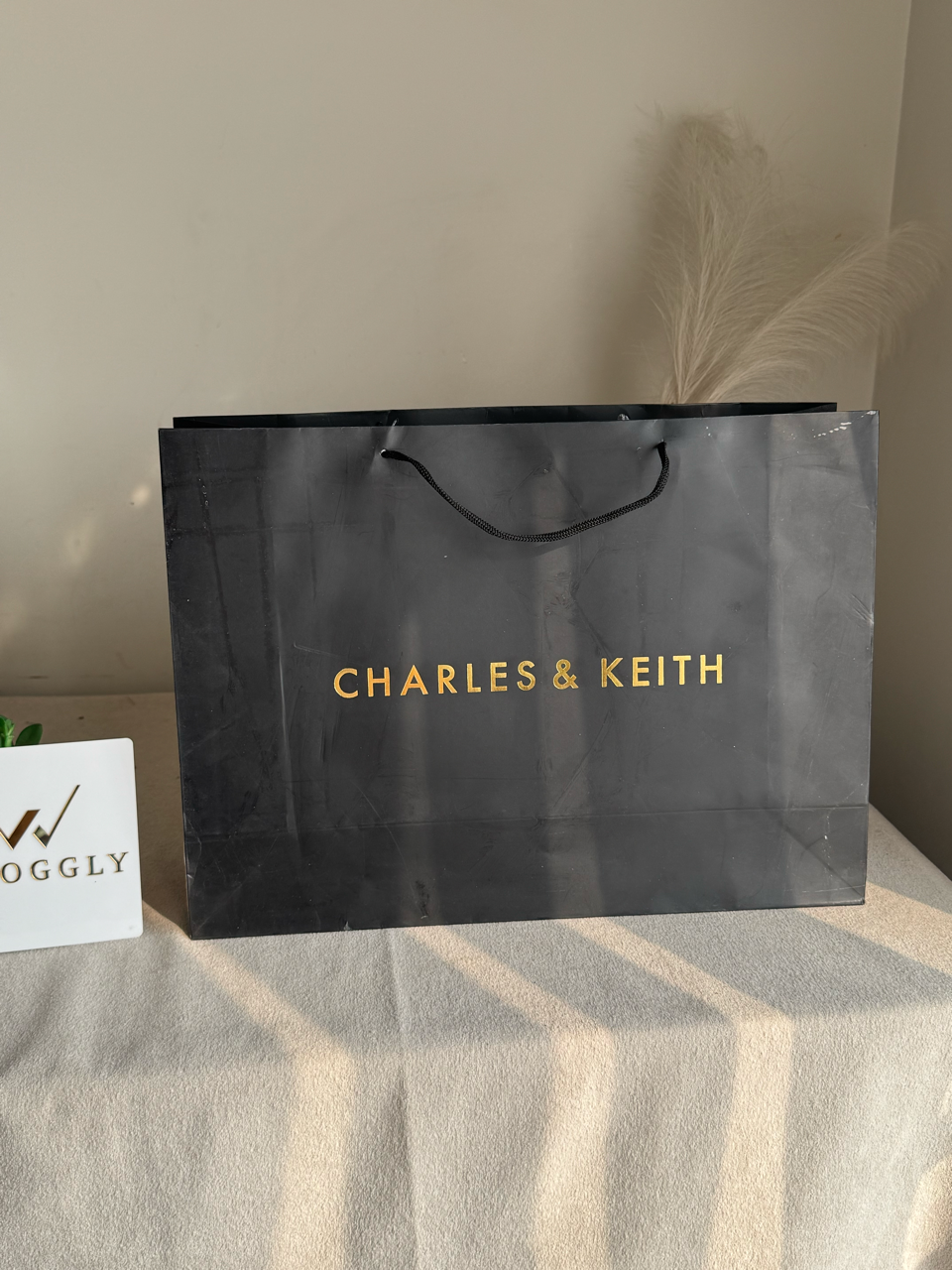Gift Bag - Charles & Keith - Large (MUST ADD ON BOX/CARTON PACKING)