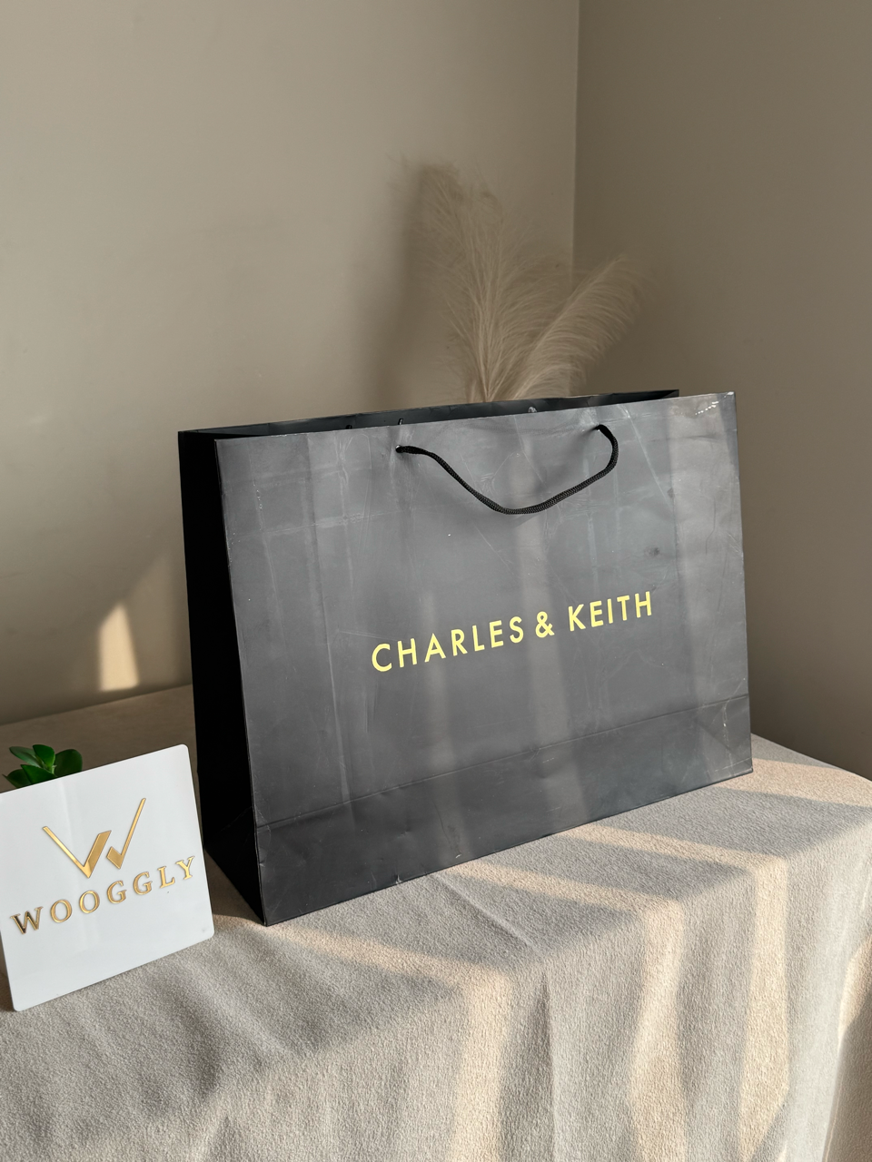 Gift Bag - Charles & Keith - Large (MUST ADD ON BOX/CARTON PACKING)