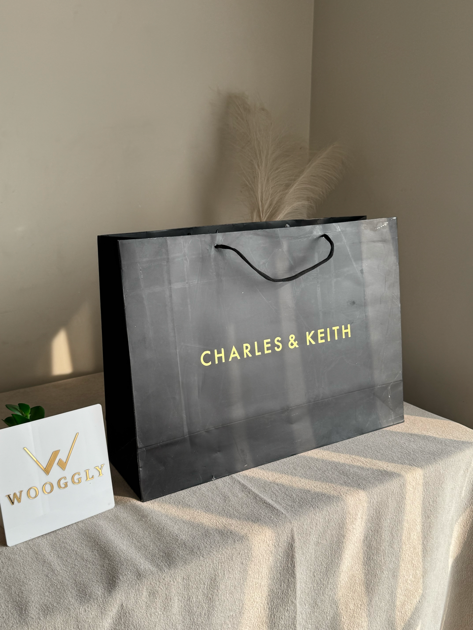 Gift Bag - Charles & Keith - Large (MUST ADD ON BOX/CARTON PACKING)