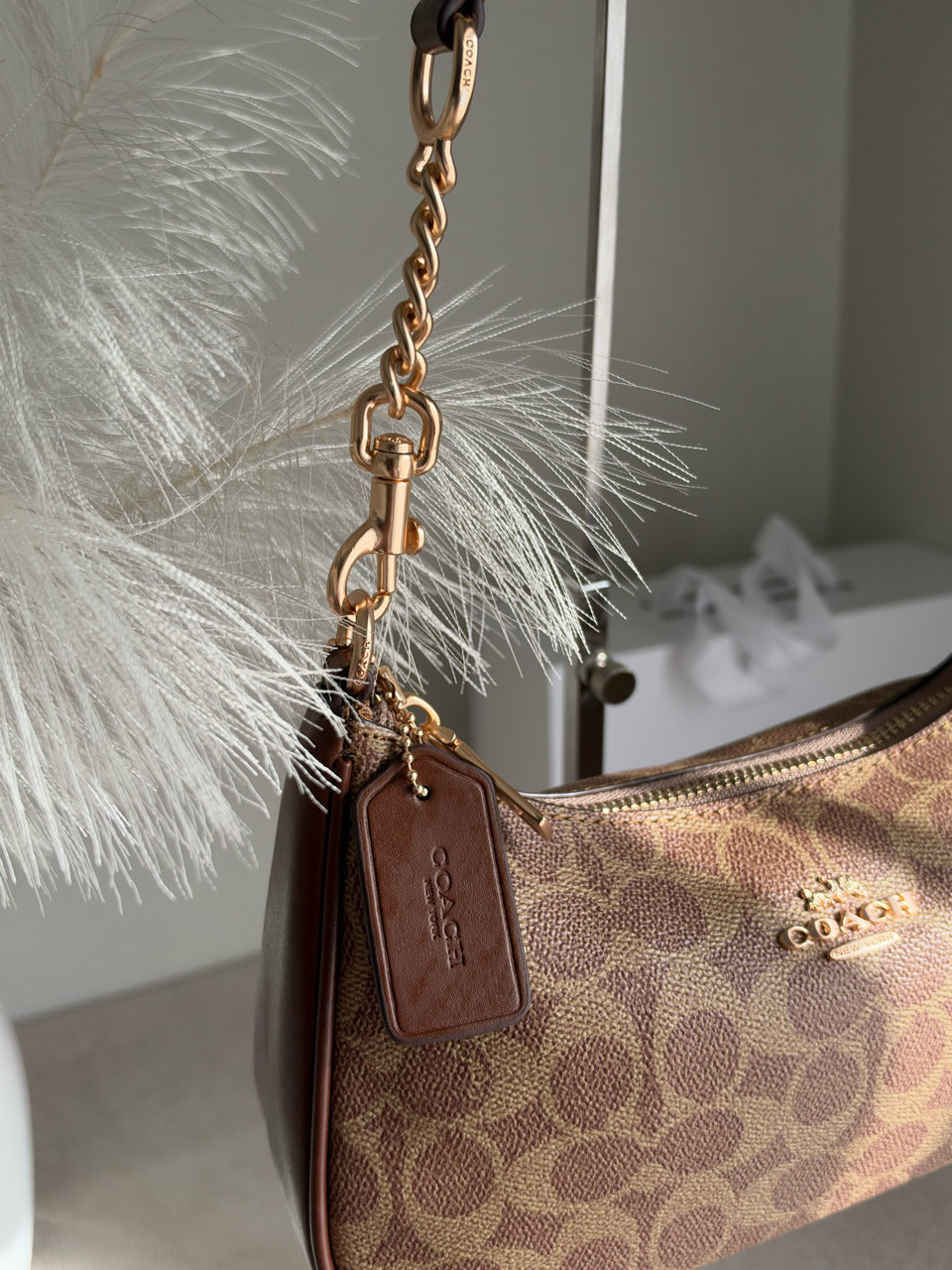 TERI PREMIUM WITH MAGNETIC BOX PACKING - Signature Apricot Brown
