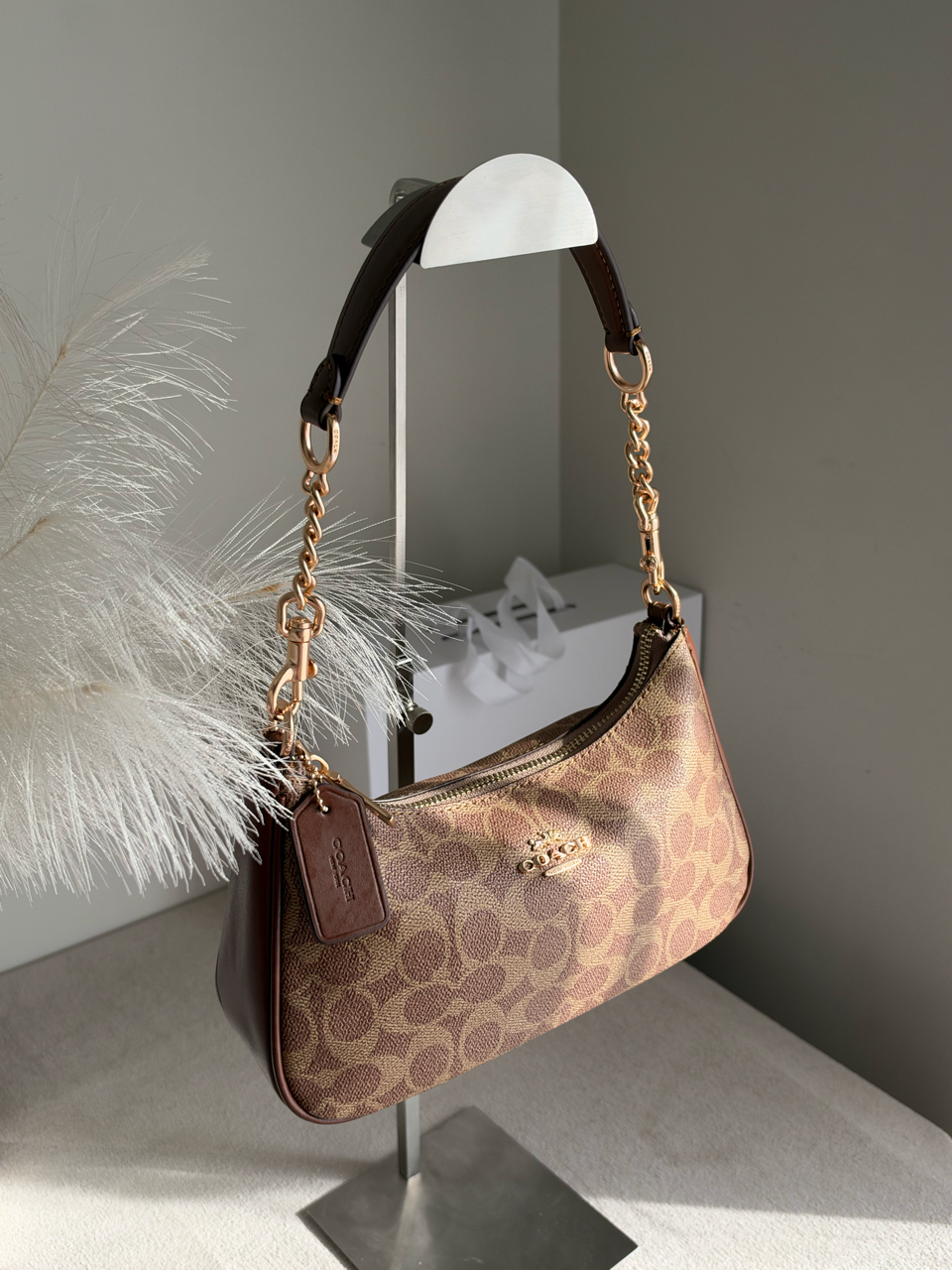 TERI PREMIUM WITH MAGNETIC BOX PACKING - Signature Apricot Brown