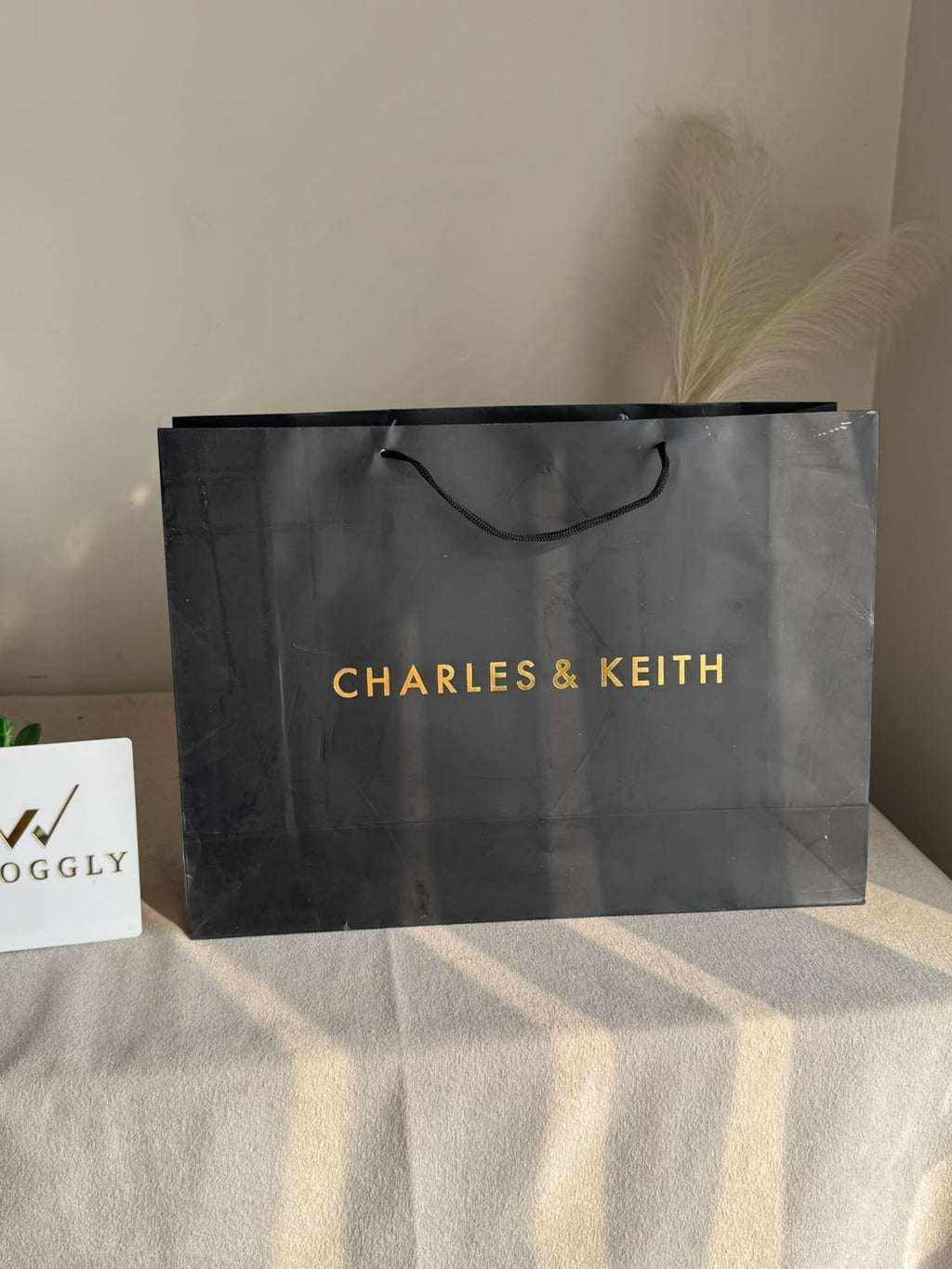 Gift Bag - Charles & Keith - Large (MUST ADD ON BOX/CARTON PACKING)