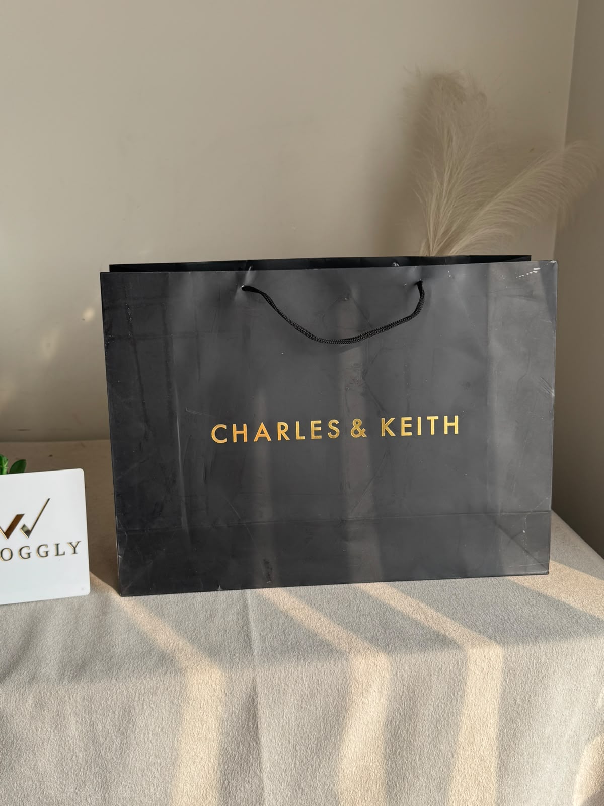 Gift Bag - Charles & Keith - Large (MUST ADD ON BOX/CARTON PACKING)