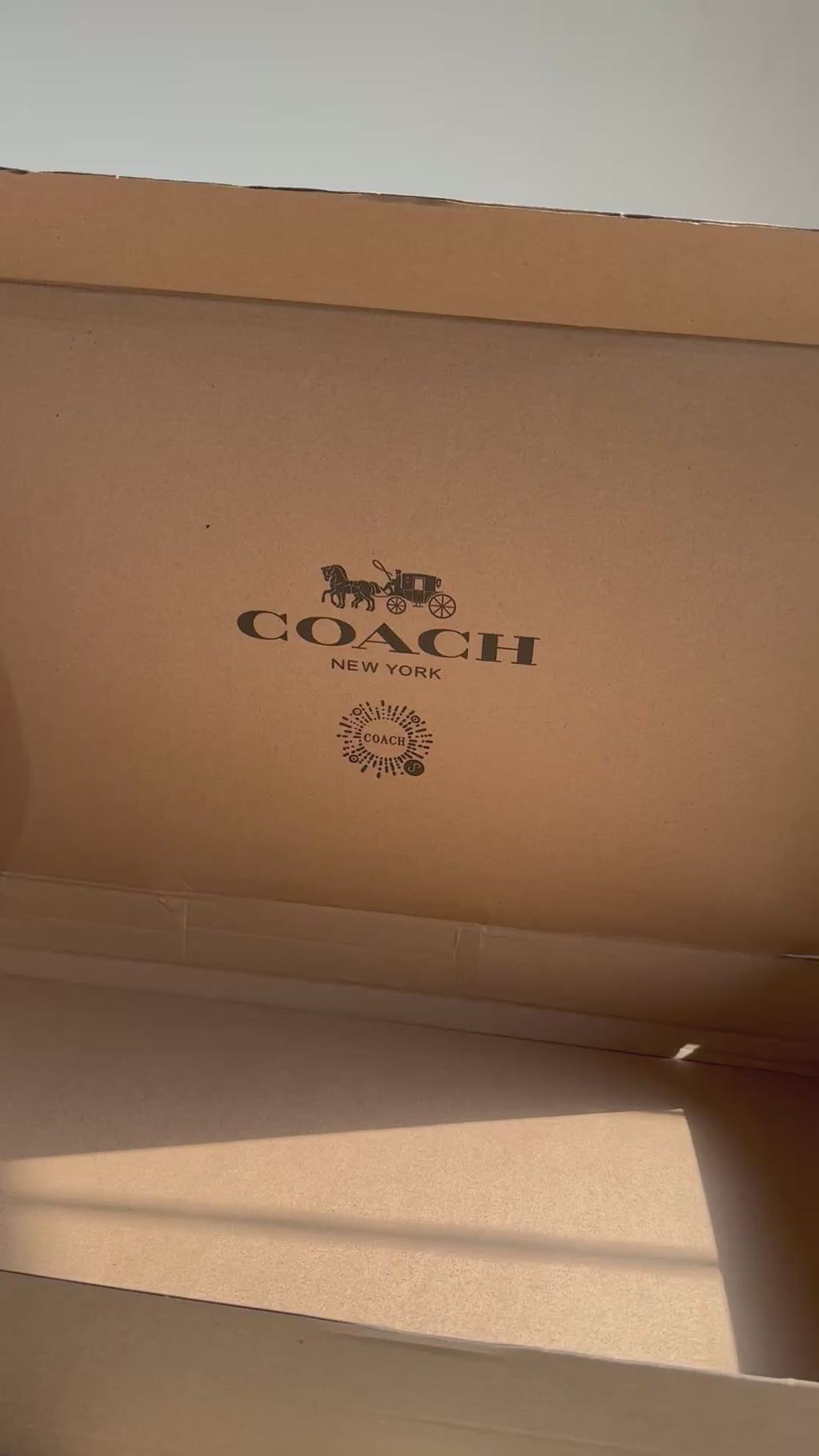 COACH Pink Tote Bag EXTREMELY PREMIUM with FREE Pink Cherry Bag Charm - BOX PACKING