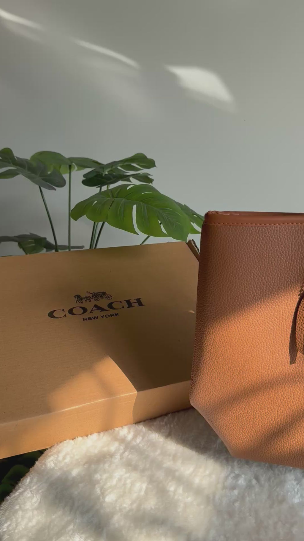 COACH City Tote Bag PREMIUM - Fall Brown (BOX PACKING)