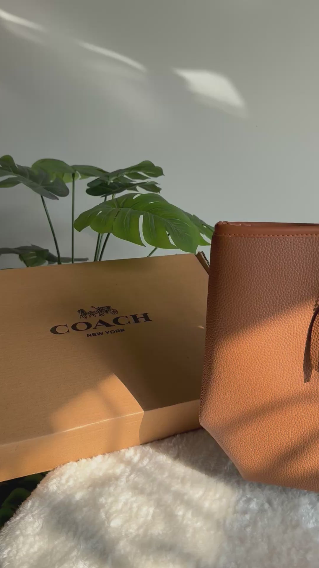 COACH City Tote Bag PREMIUM - Fall Brown (BOX PACKING)