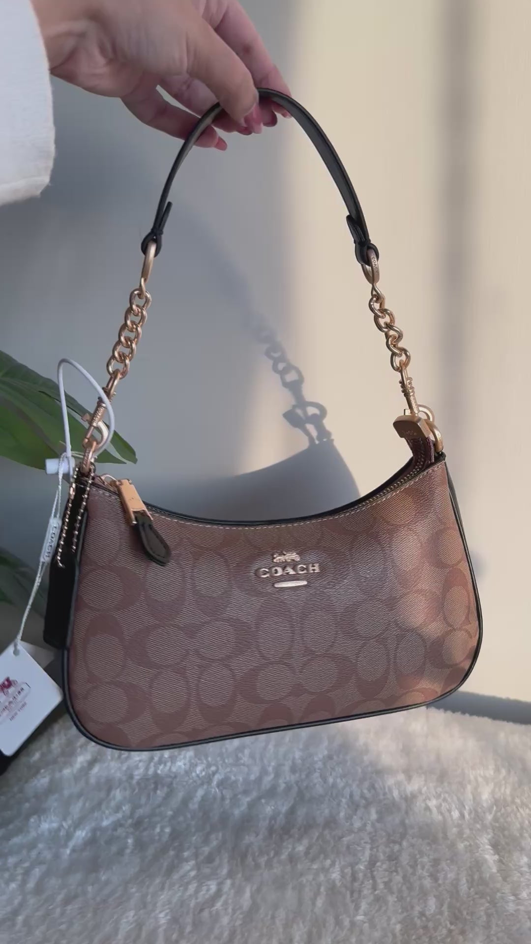 COACH TERI PREMIUM (Apricot Black) - BOX PACKING