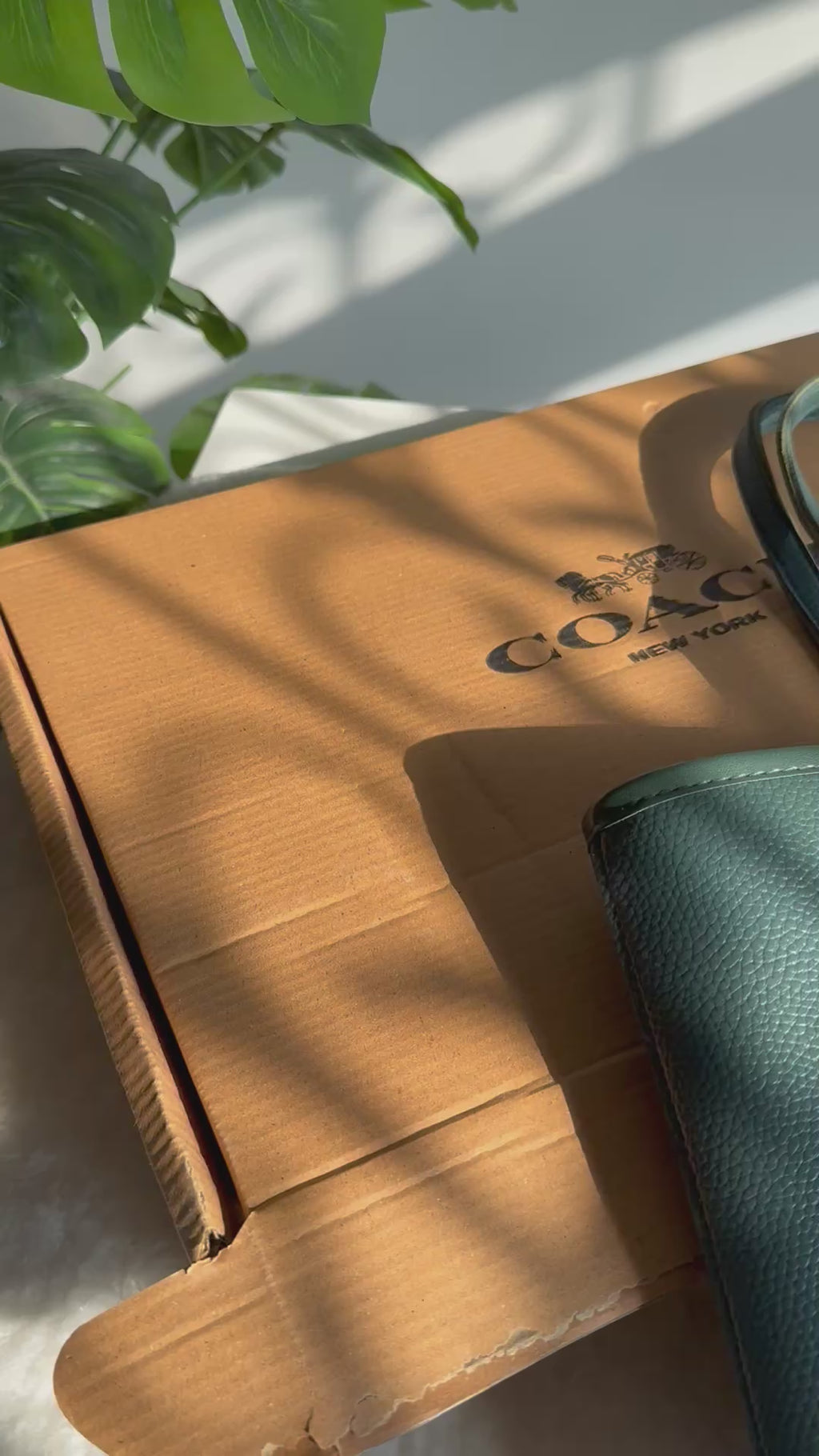 COACH City Tote Bag PREMIUM - Green (BOX PACKING)