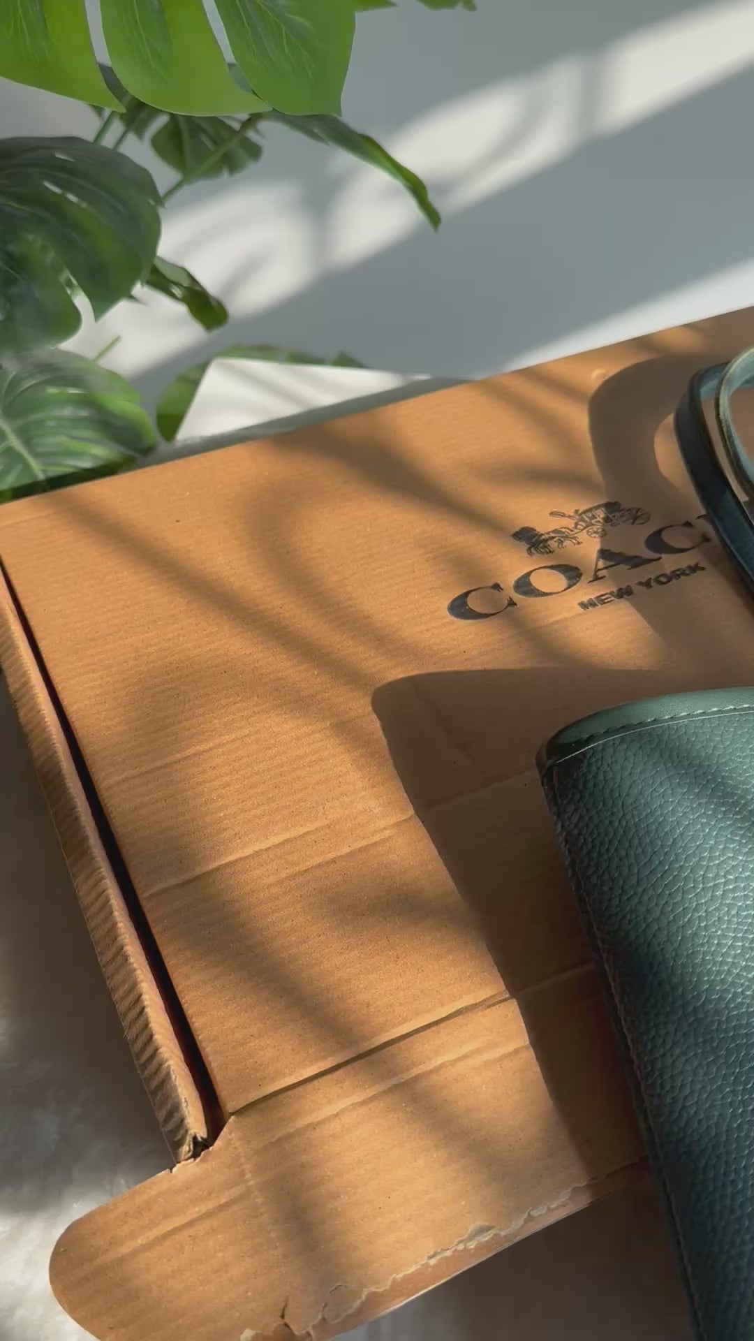 COACH City Tote Bag PREMIUM - Green (BOX PACKING)